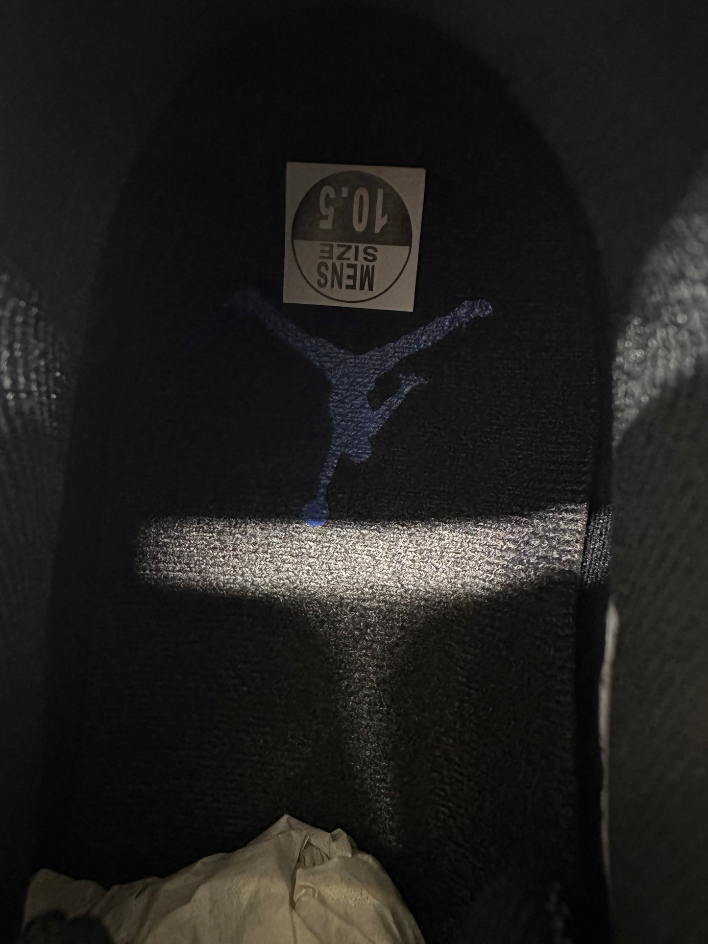 Air Jordan 11 Low Space Jam Sz 10.5 DS