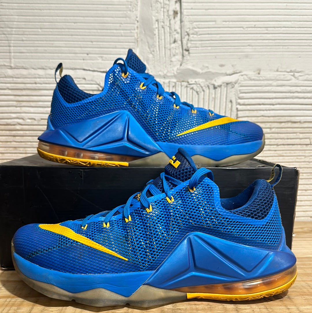 Nike LeBron 12 Low Entourage Sz 13