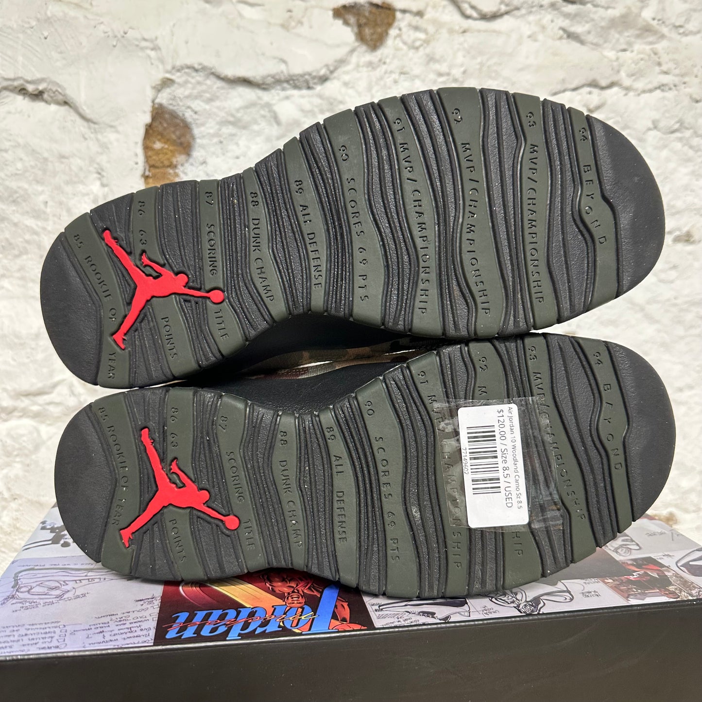 Air Jordan 10 Woodland Camo Sz 8.5