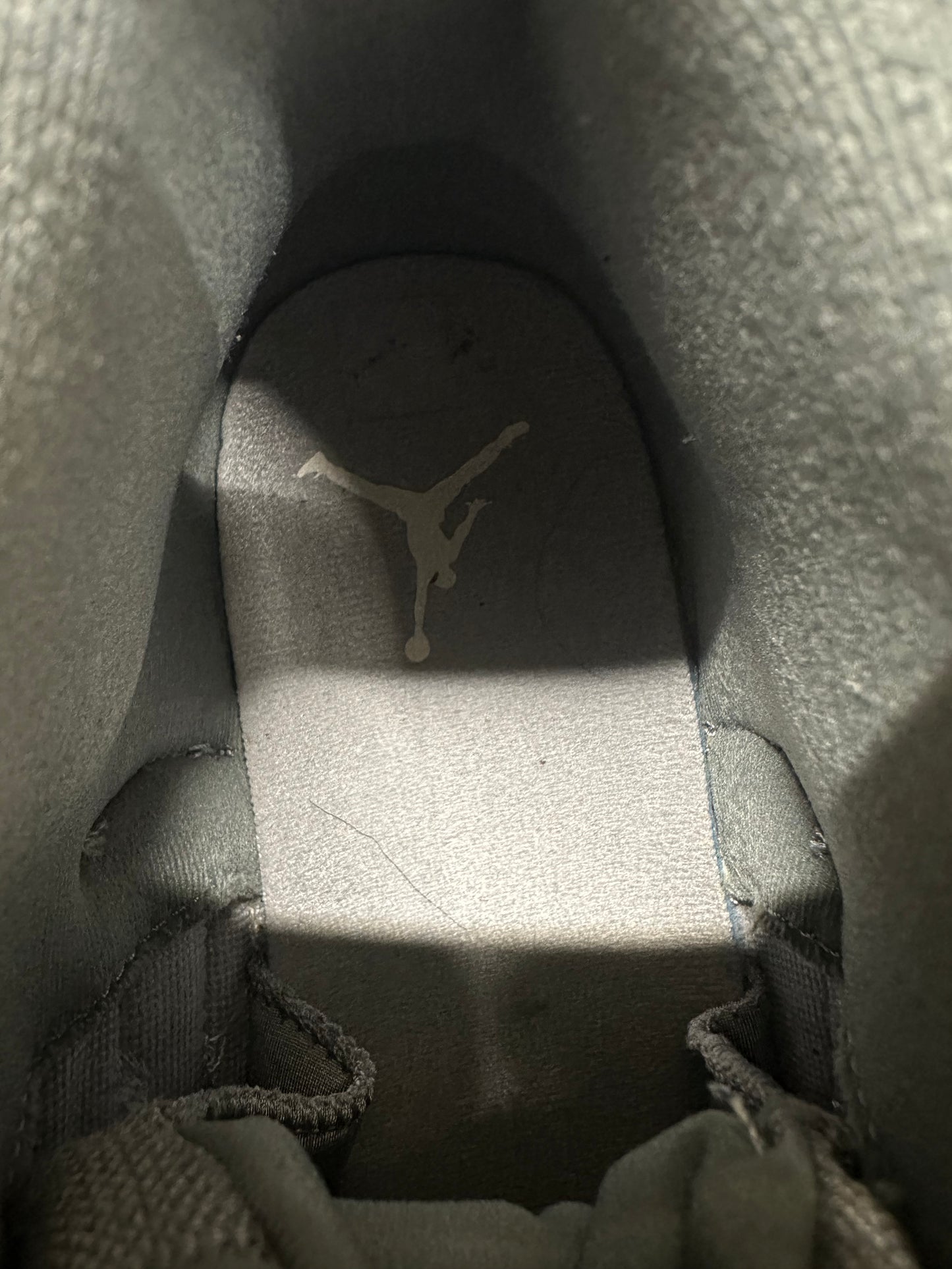 Air Jordan 12 Stealth Sz 10.5