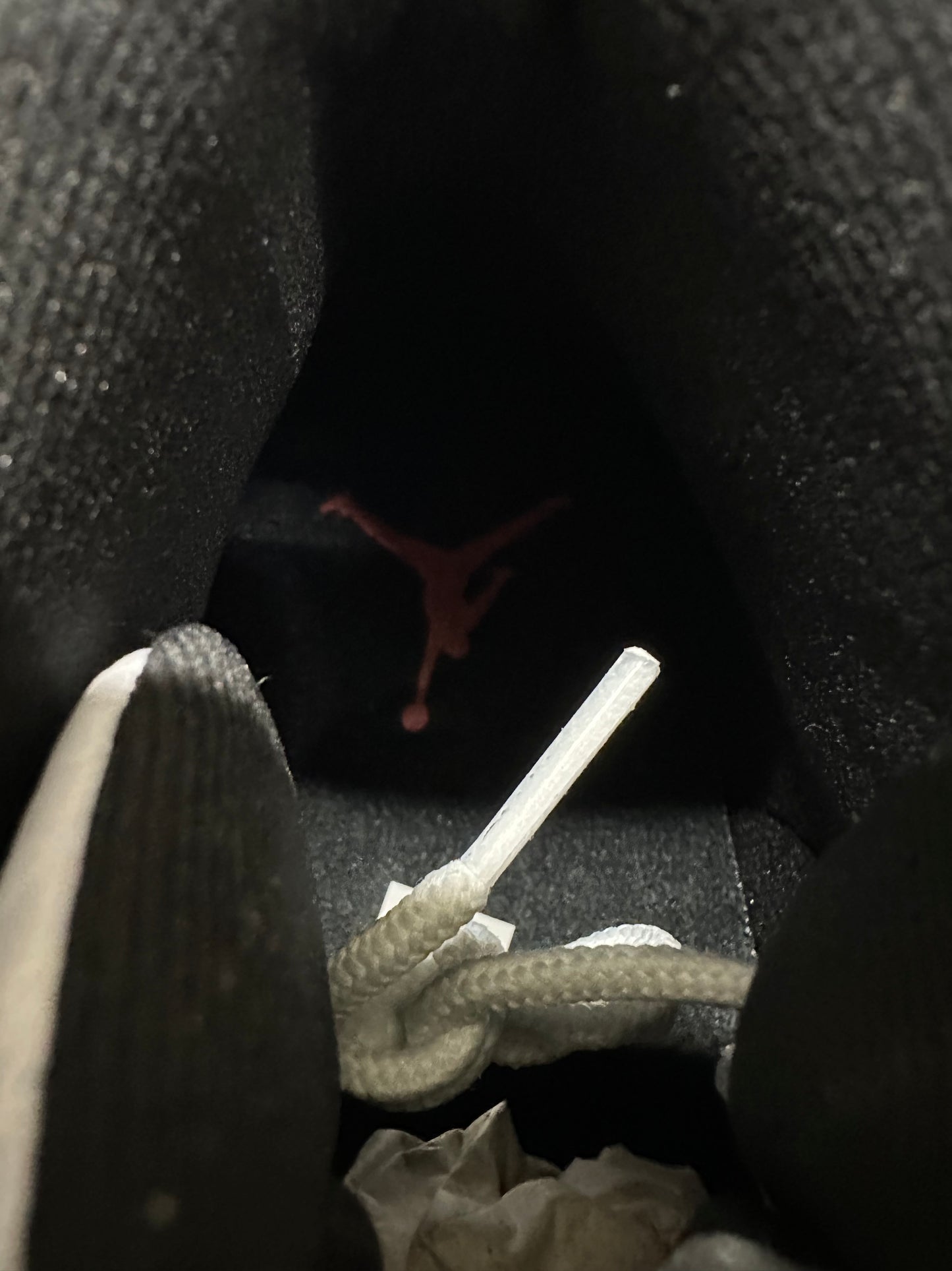 Air Jordan 12 Taxi (2025) Sz 8.5 DS