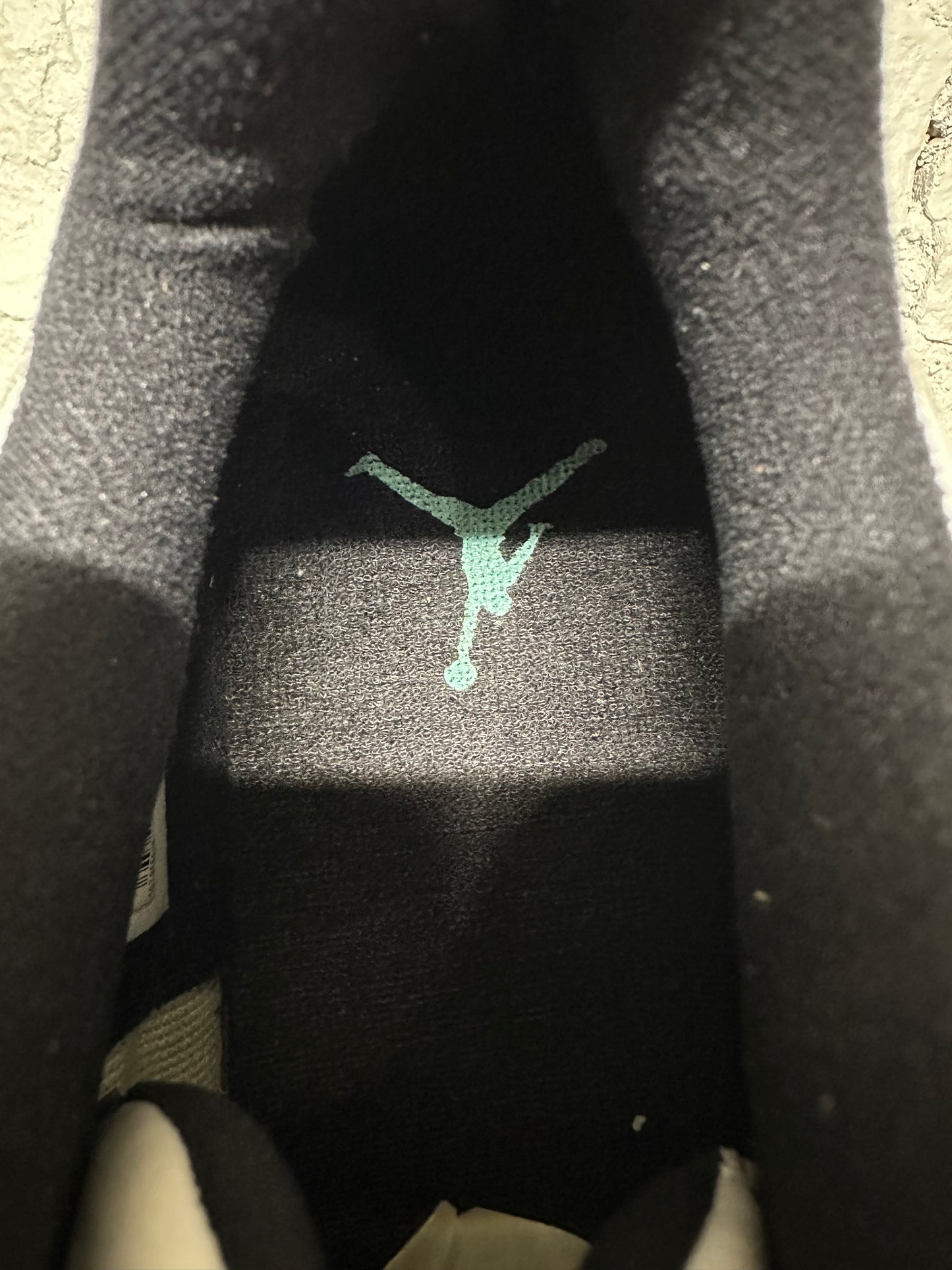 Air Jordan 11 Low Emerald Sz 14