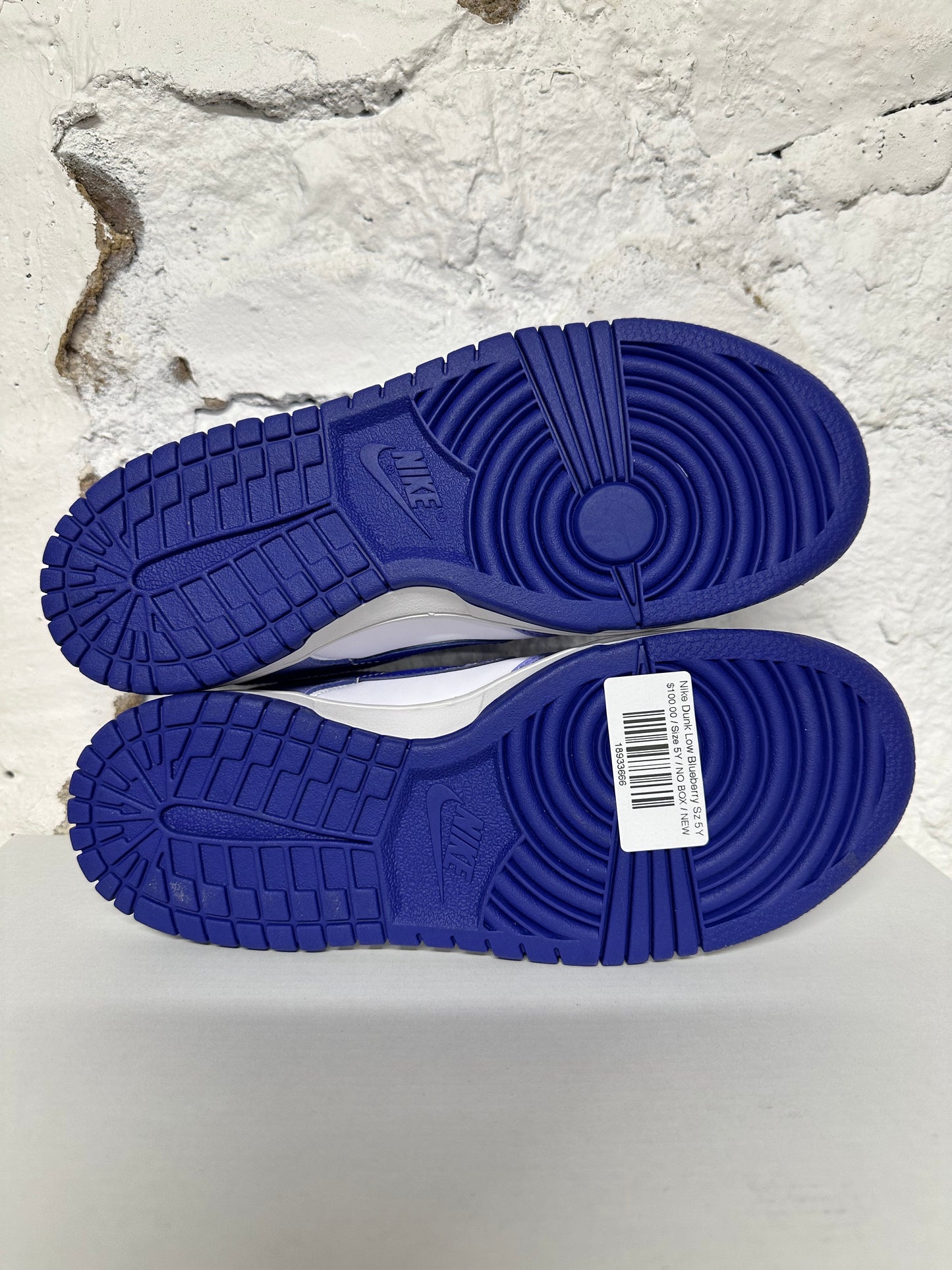 Nike Dunk Low Blueberry Sz 5Y