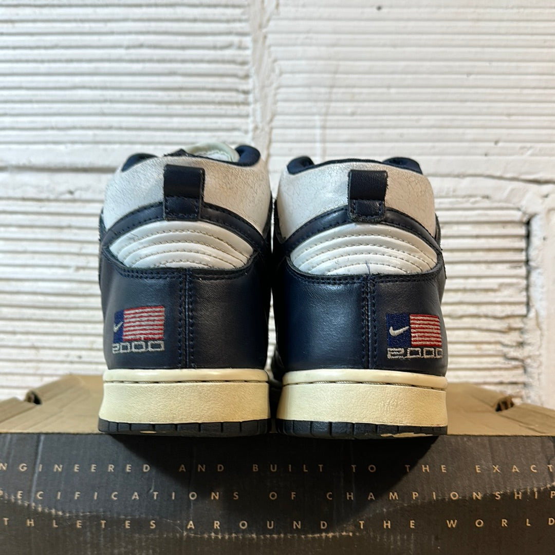 Nike Dunk High USA (2000) Sz 10