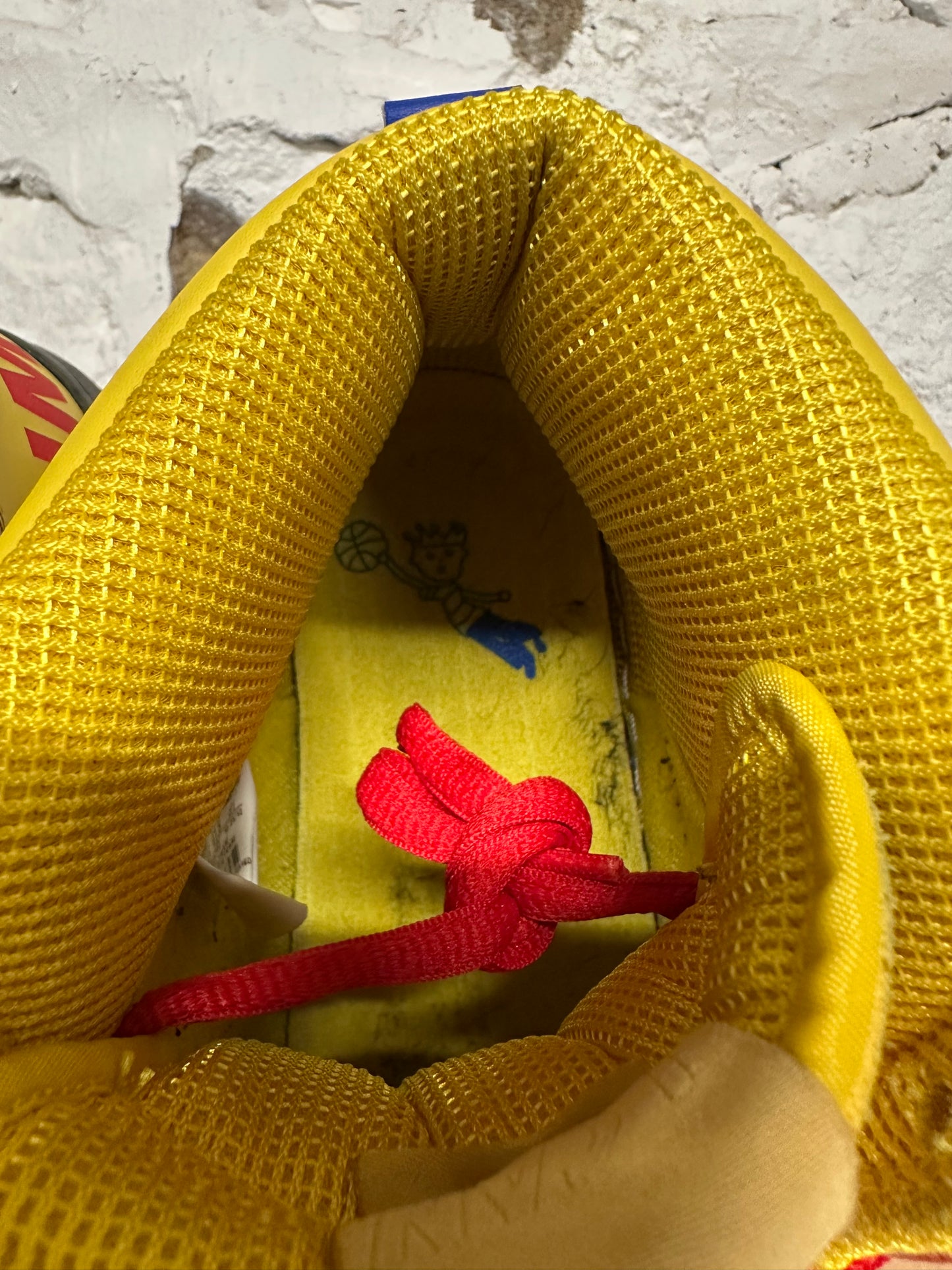 Nike SB Dunk High Doernbecher (2012) Sz 13