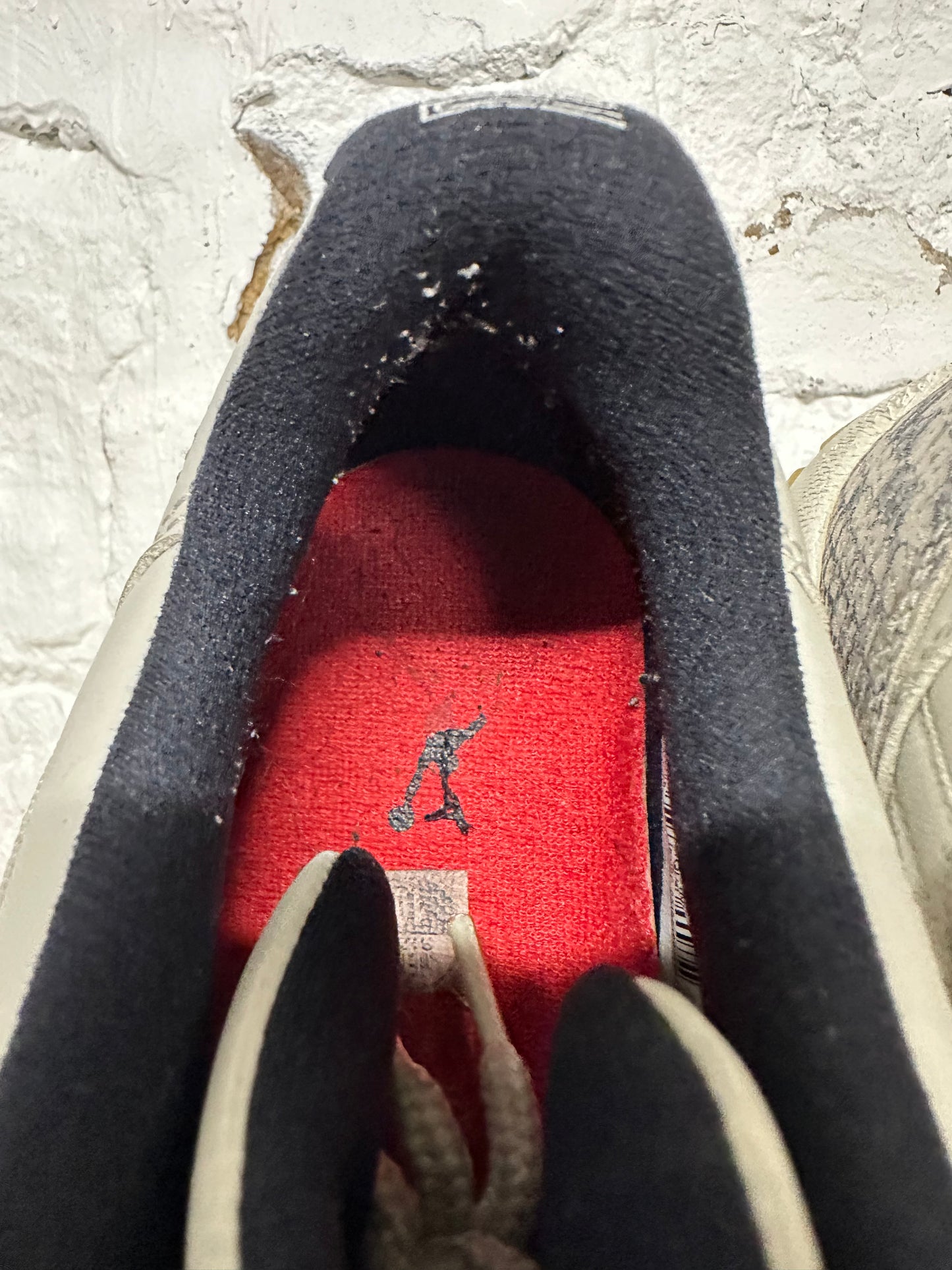 Air Jordan 11 Low Bone Snakeskin Sz 10