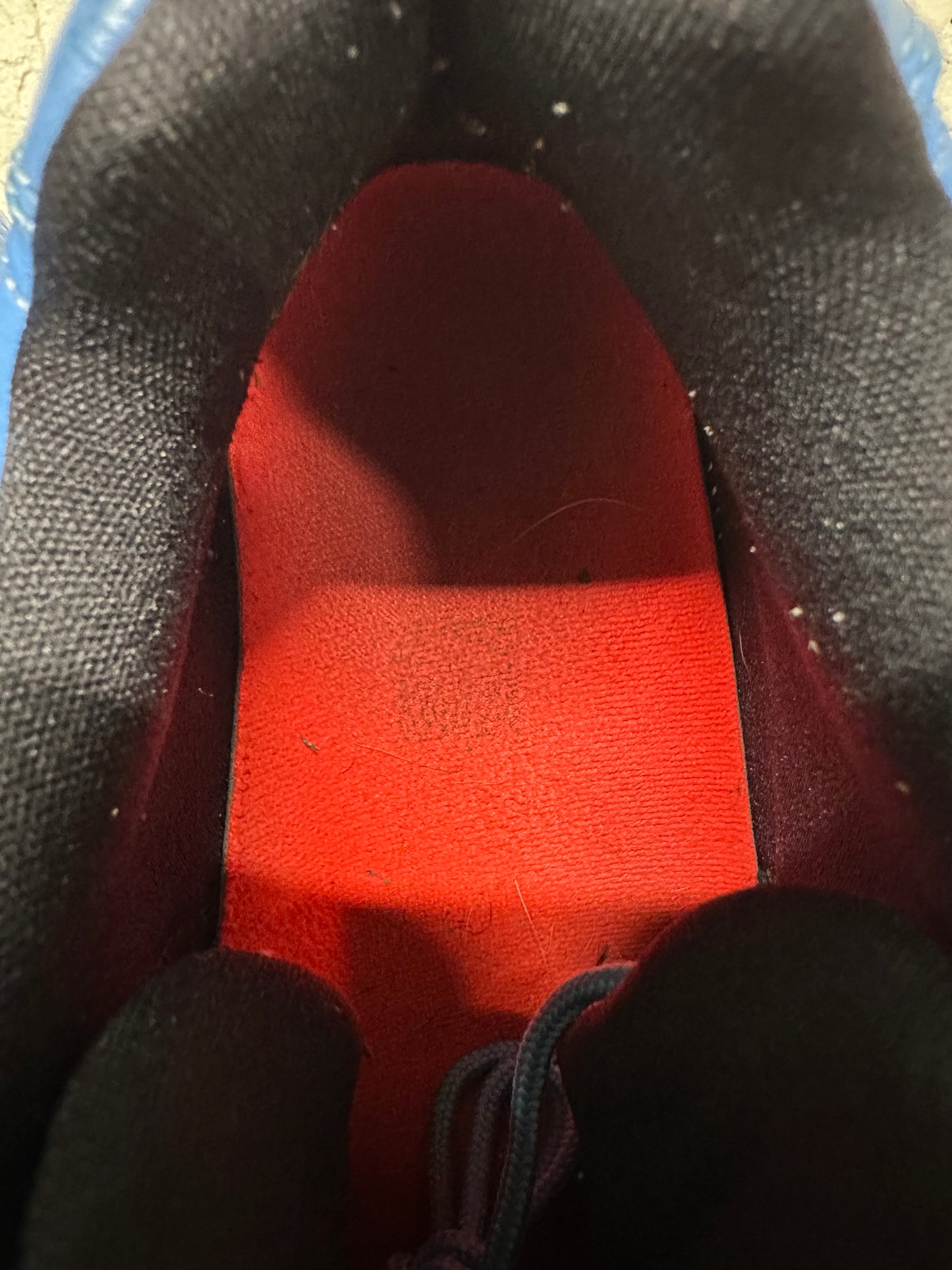 Air Jordan 9 Low Pantone Sz 10.5