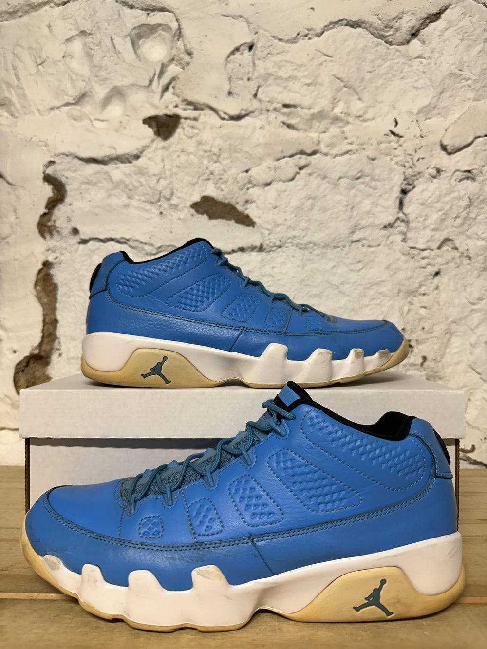 Air Jordan 9 Low Pantone Sz 10.5