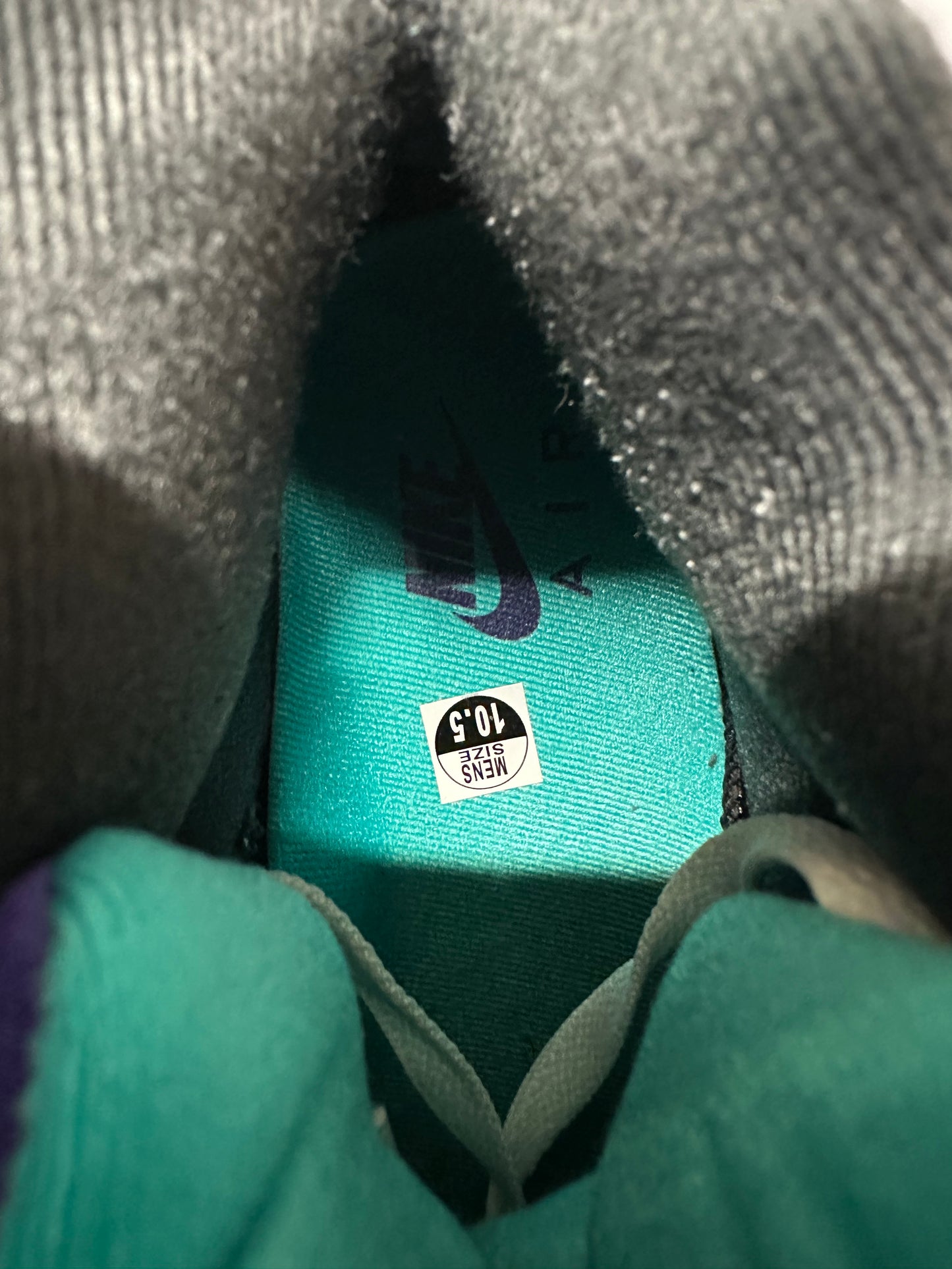 Air Jordan 5 Grape Sz 10.5