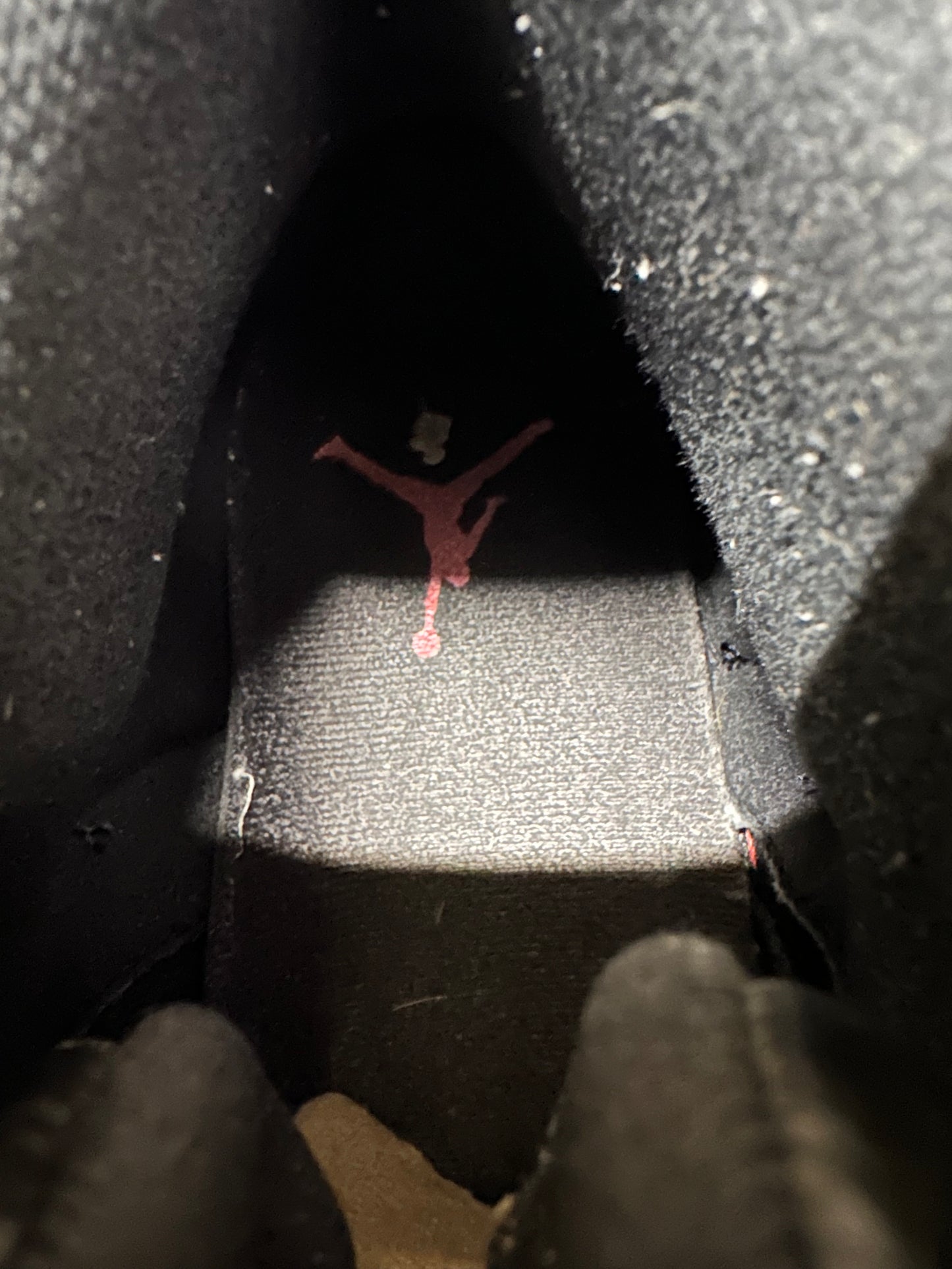 Air Jordan 12 Flu Game Sz 10