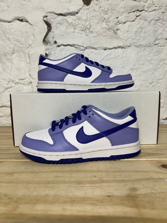 Nike Dunk Low Blueberry Sz 5Y
