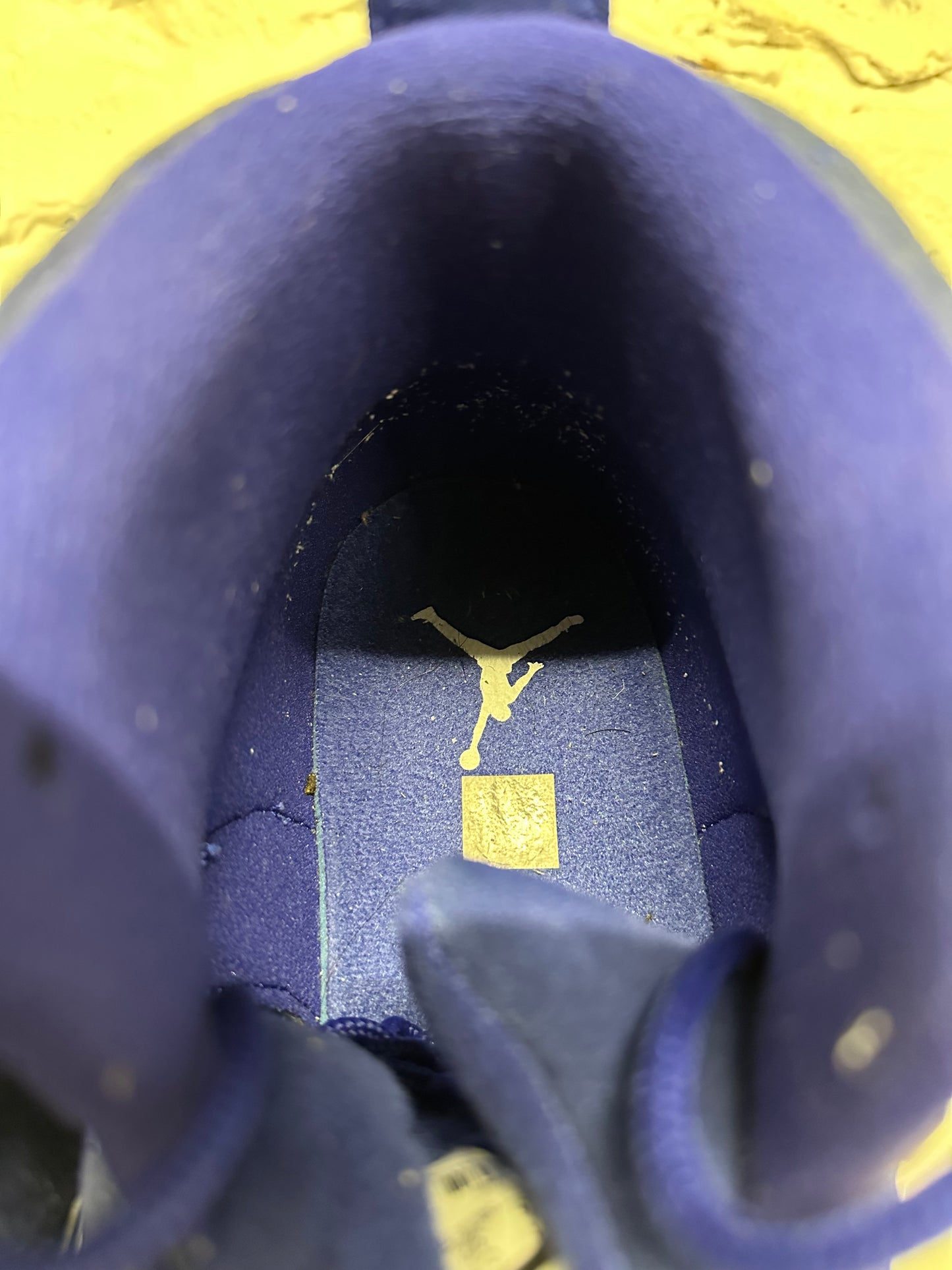 Air Jordan 12 Royal Suede Sz 14