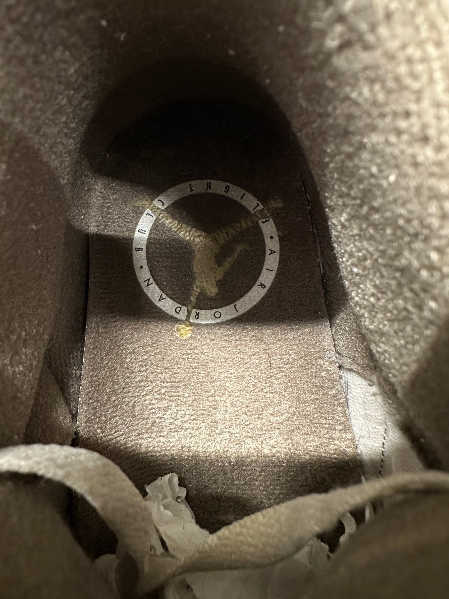 Air Jordan 3 Palomino Sz 11