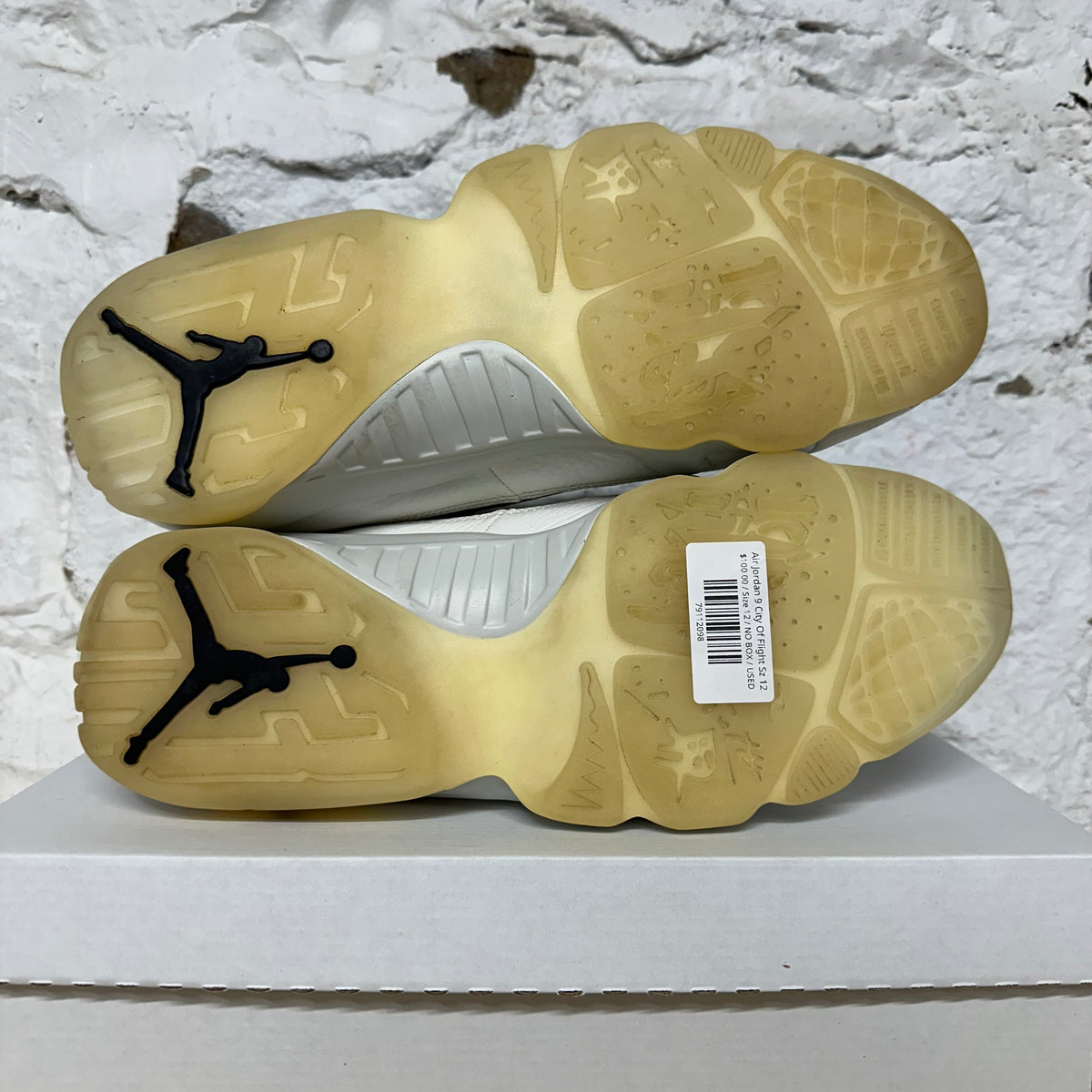 Air Jordan 9 City of Flight Sz 12