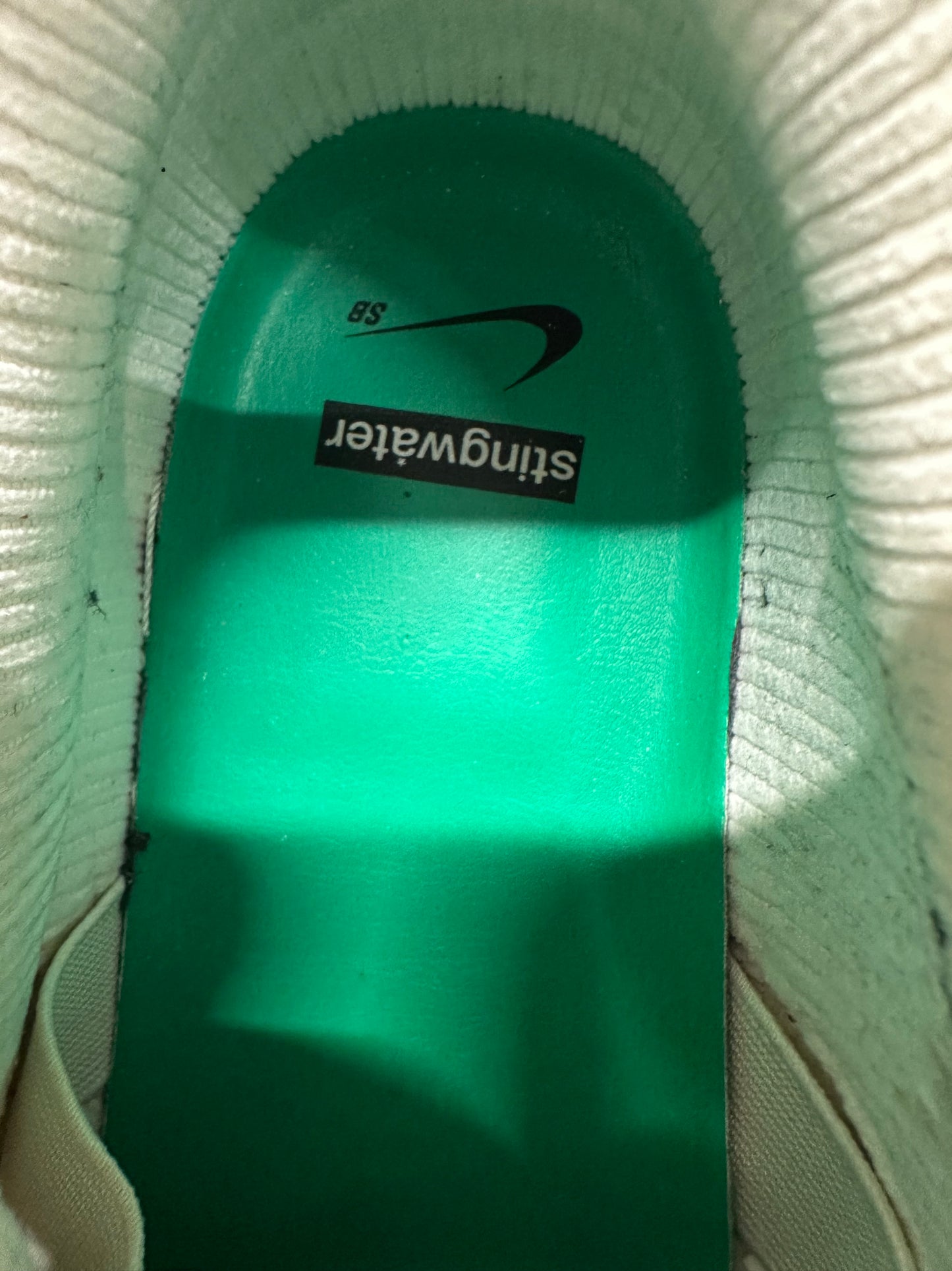 Nike SB Dunk Low Stingwater Sz 13