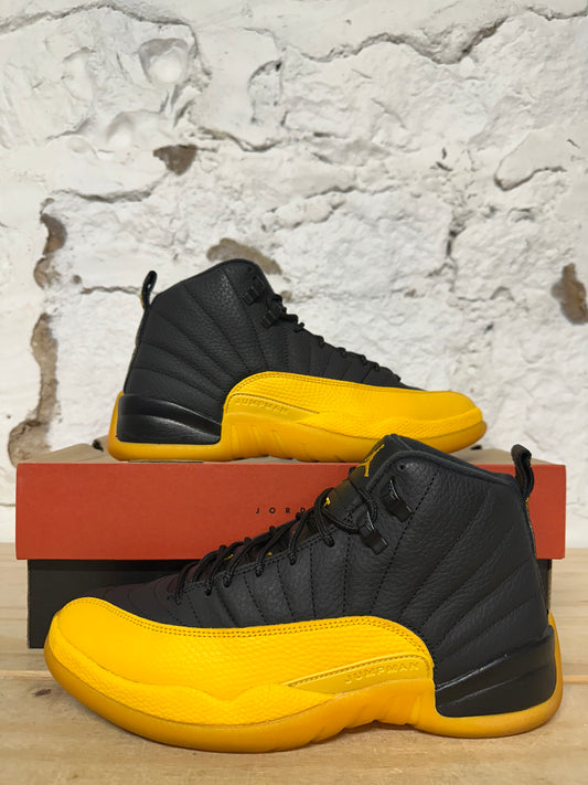 Air Jordan 12 Black University Gold Sz 8.5