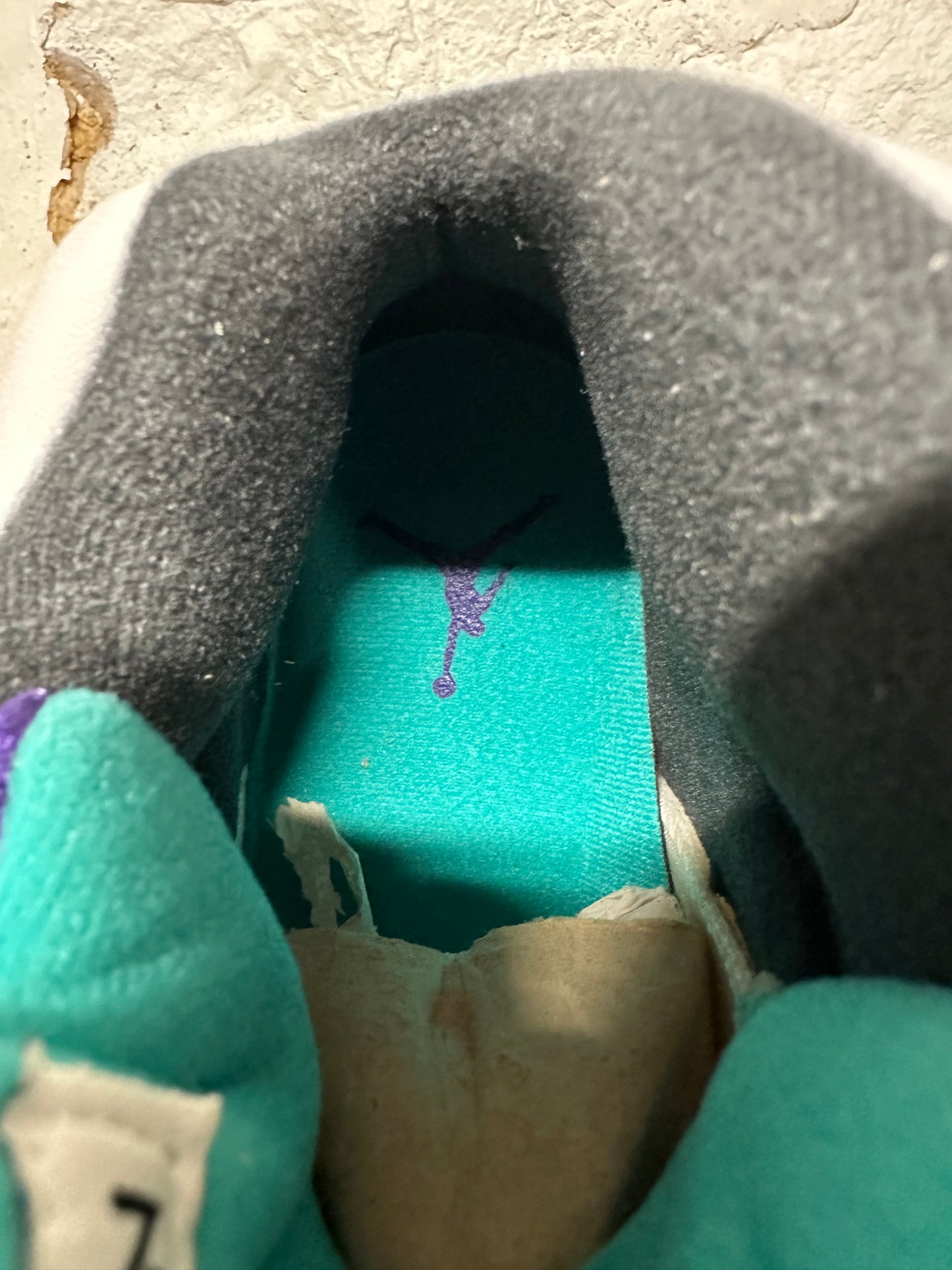 Air Jordan 5 Grape (2013) Sz 9.5