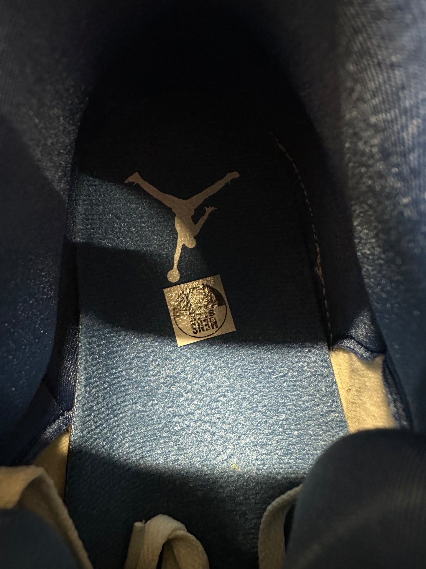 Air Jordan 3 Wizards Sz 12