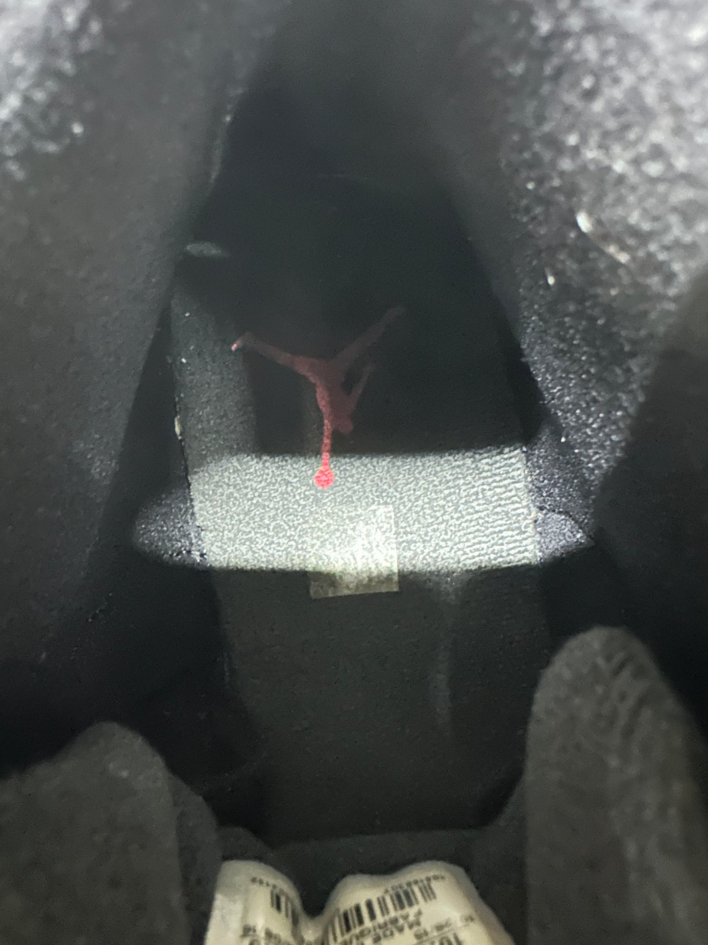 Air Jordan 12 Flu Game (2015) Sz 10.5