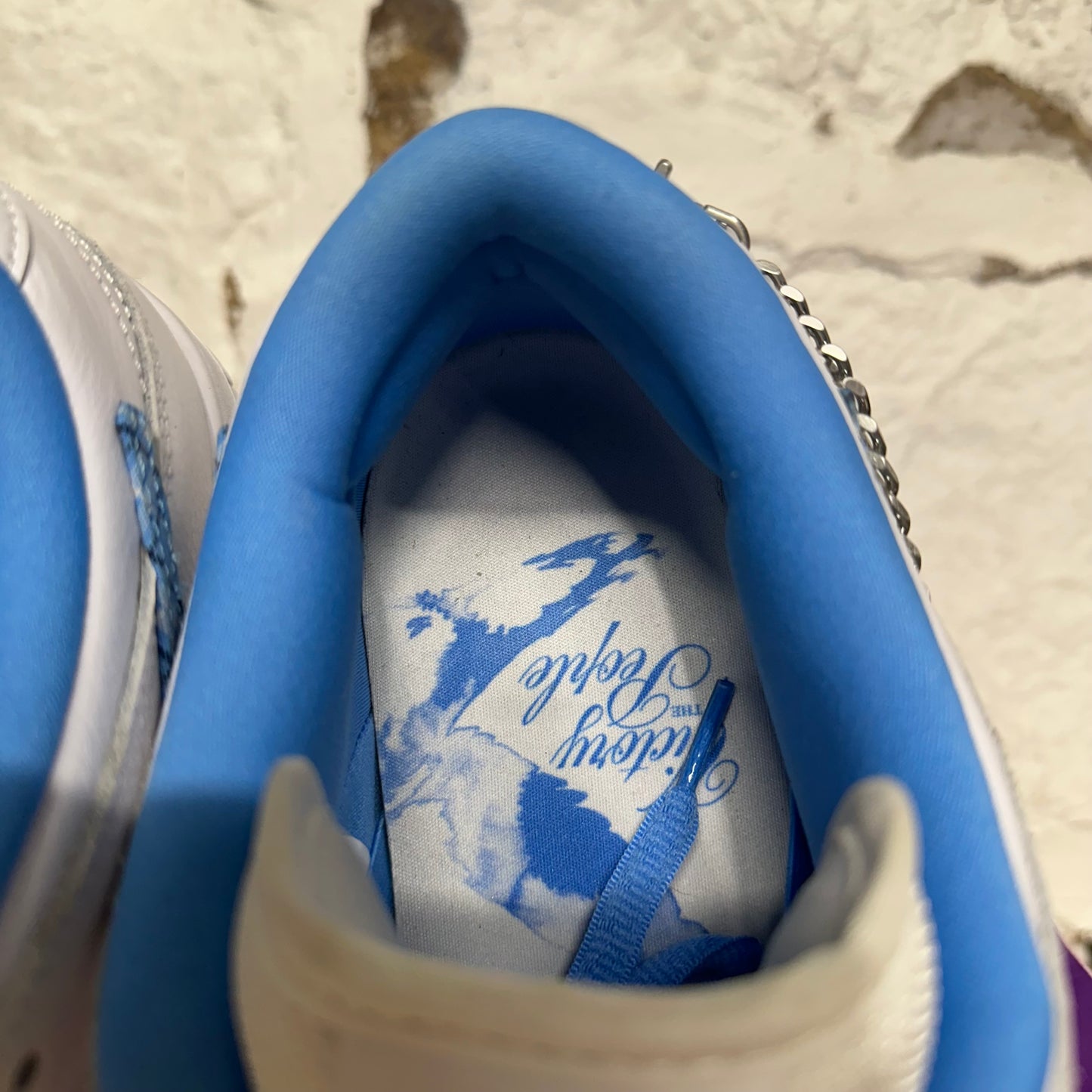 Nike SB Dunk Low Pro Nicole House Sz 10.5