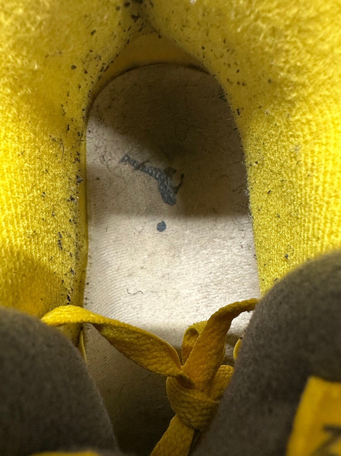 Air Jordan 4 Lightning Sz 12