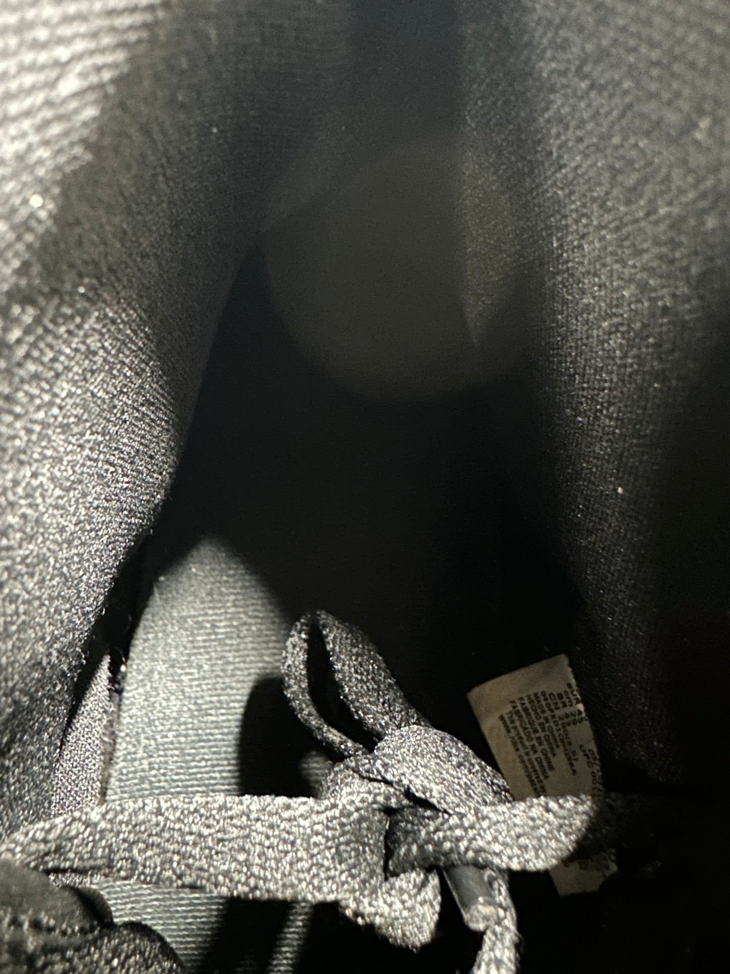 Air Jordan 1 High Palomino Sz 11