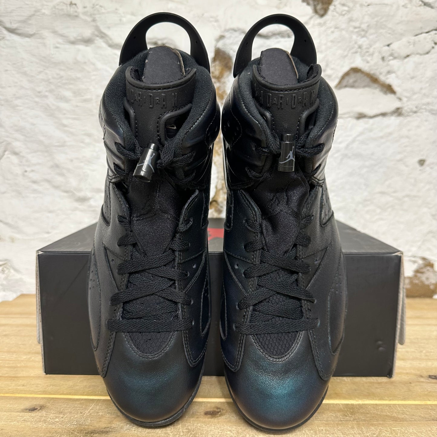 Air Jordan 6 All-Star Chameleon Sz 10.5 DS