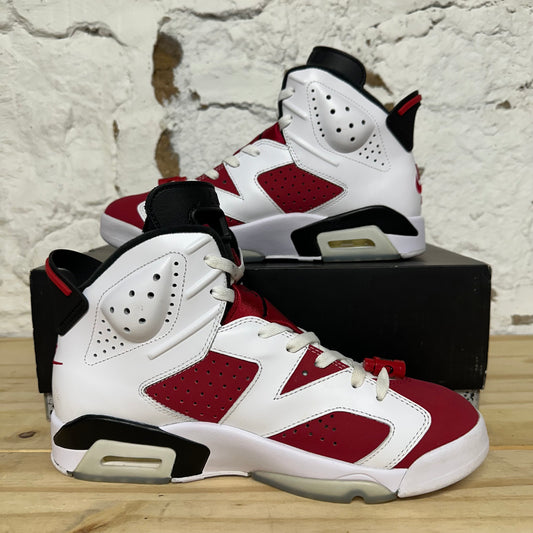 Air Jordan 6 Carmine (2021) Sz 9