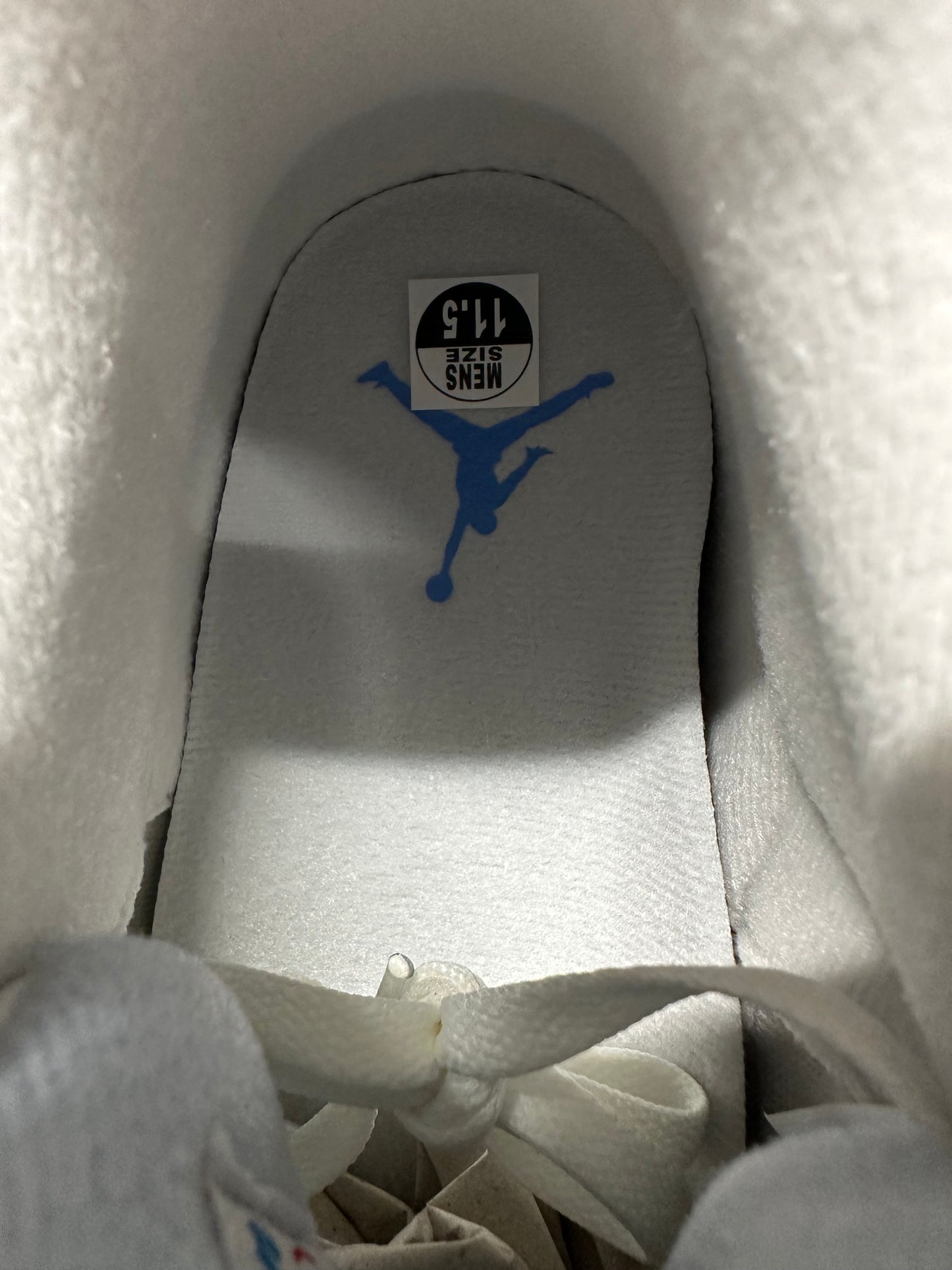 Air Jordan 3 Lucky Shorts Sz 11.5 DS