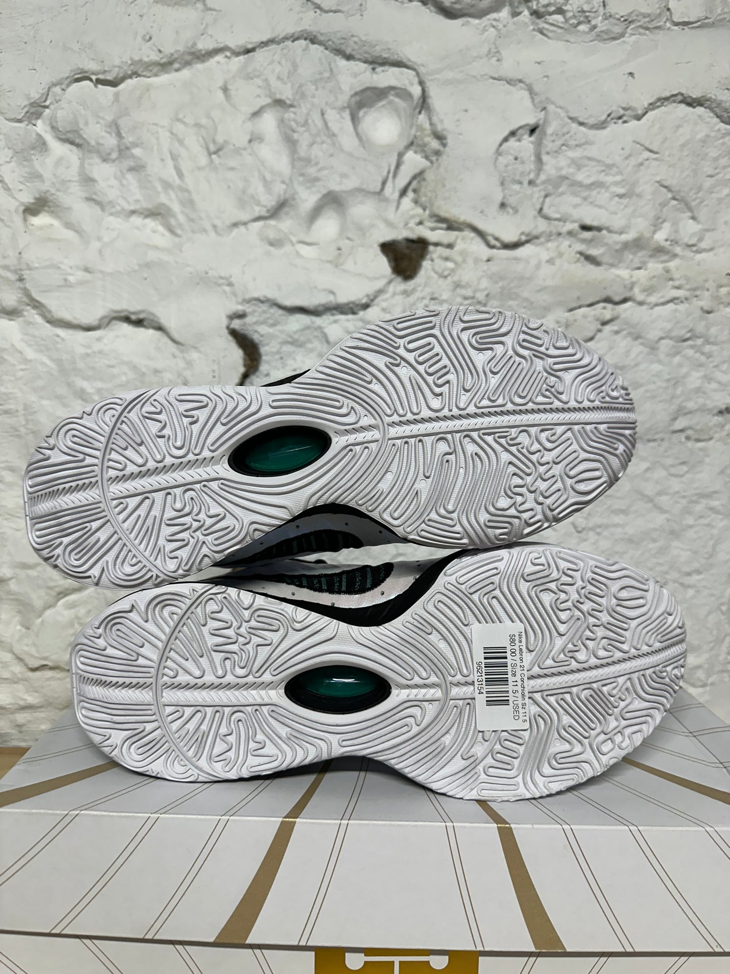 Nike LeBron 21 Conchiolin Sz 11.5