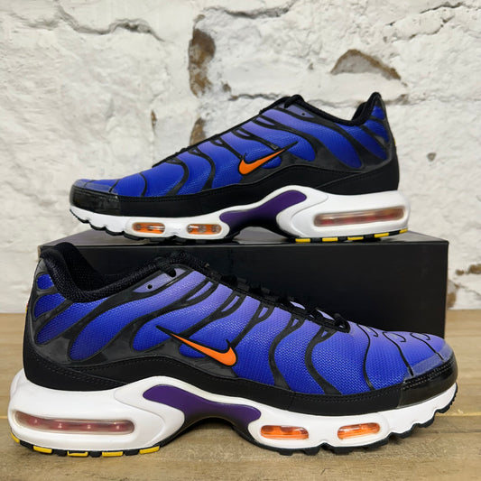Nike Air Max Plus OG Voltage Purple (2018) Sz 13