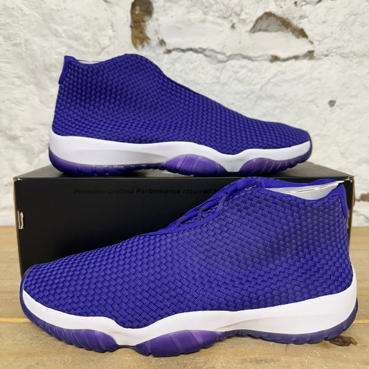 Air Jordan Future Dark Concord Sz 10.5 DS