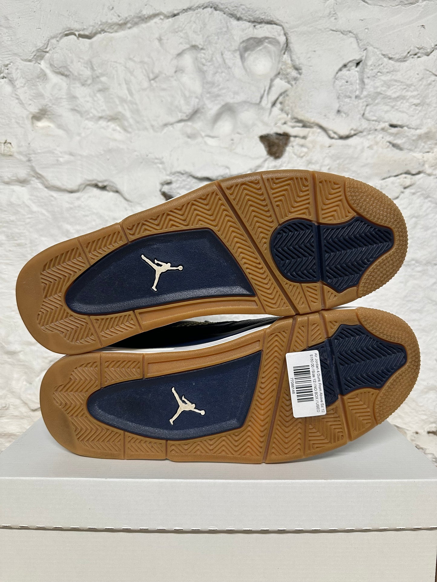 Air Jordan 4 Dunk From Above Sz 12