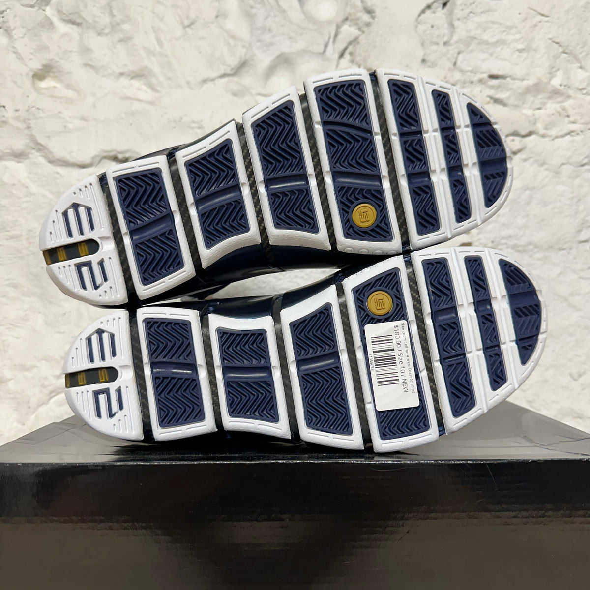 Nike LeBron 4 West Coast Sz 10 DS