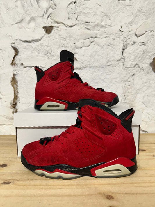 Air Jordan 6 Toro Sz 8
