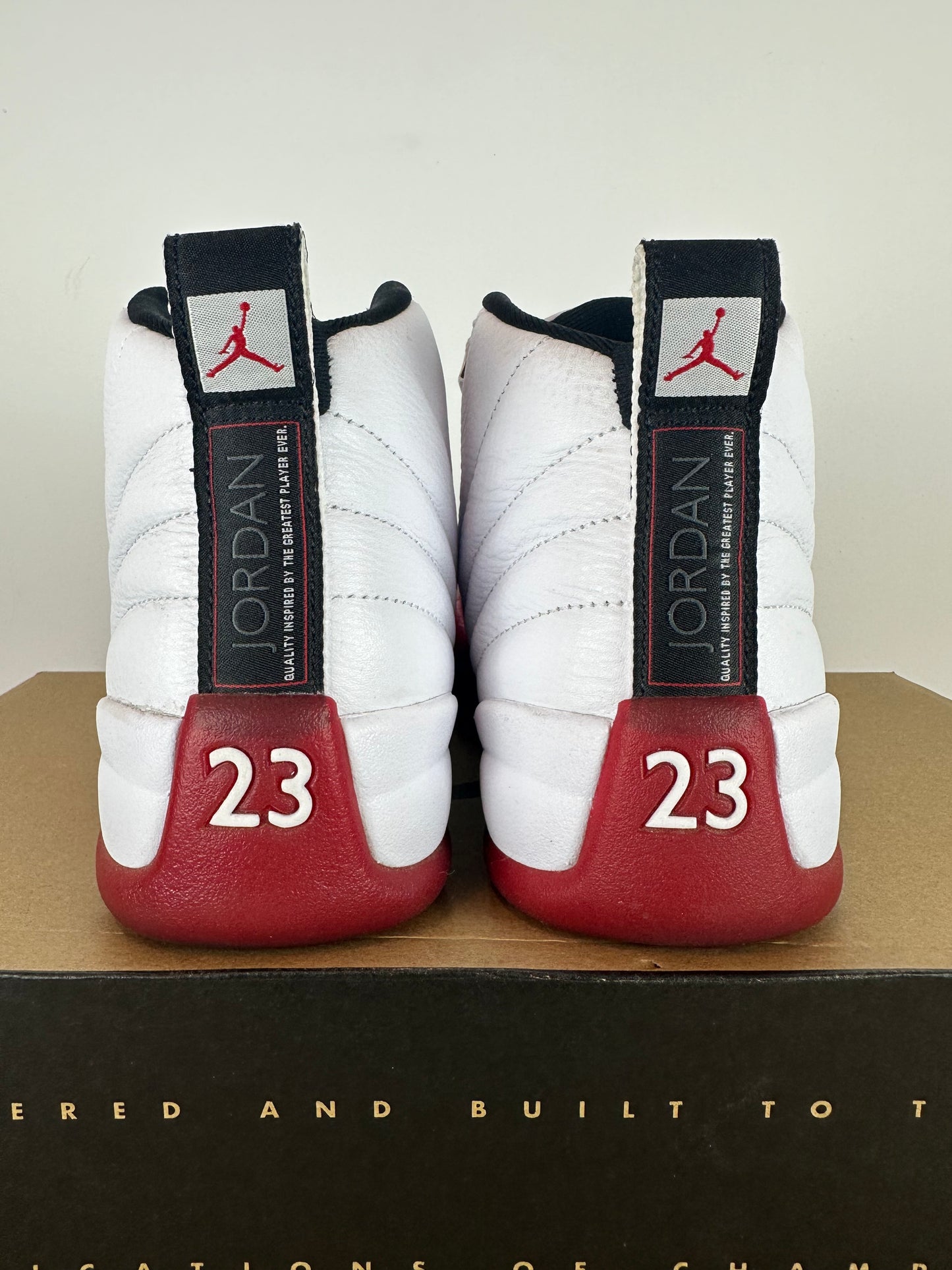 Air Jordan 12 Cherry Sz 8