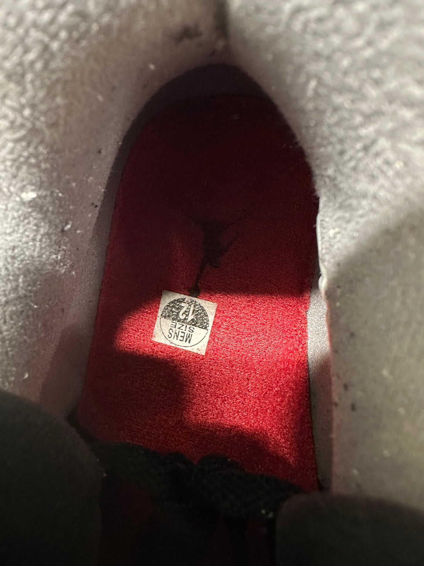 Air Jordan 4 Toro Sz 12