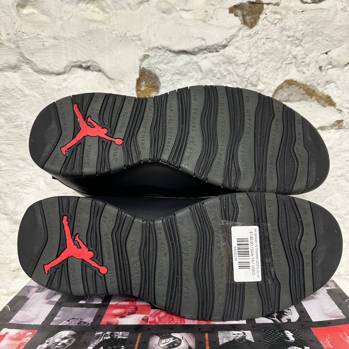 Air Jordan 10 Shadow (2025) Sz 14