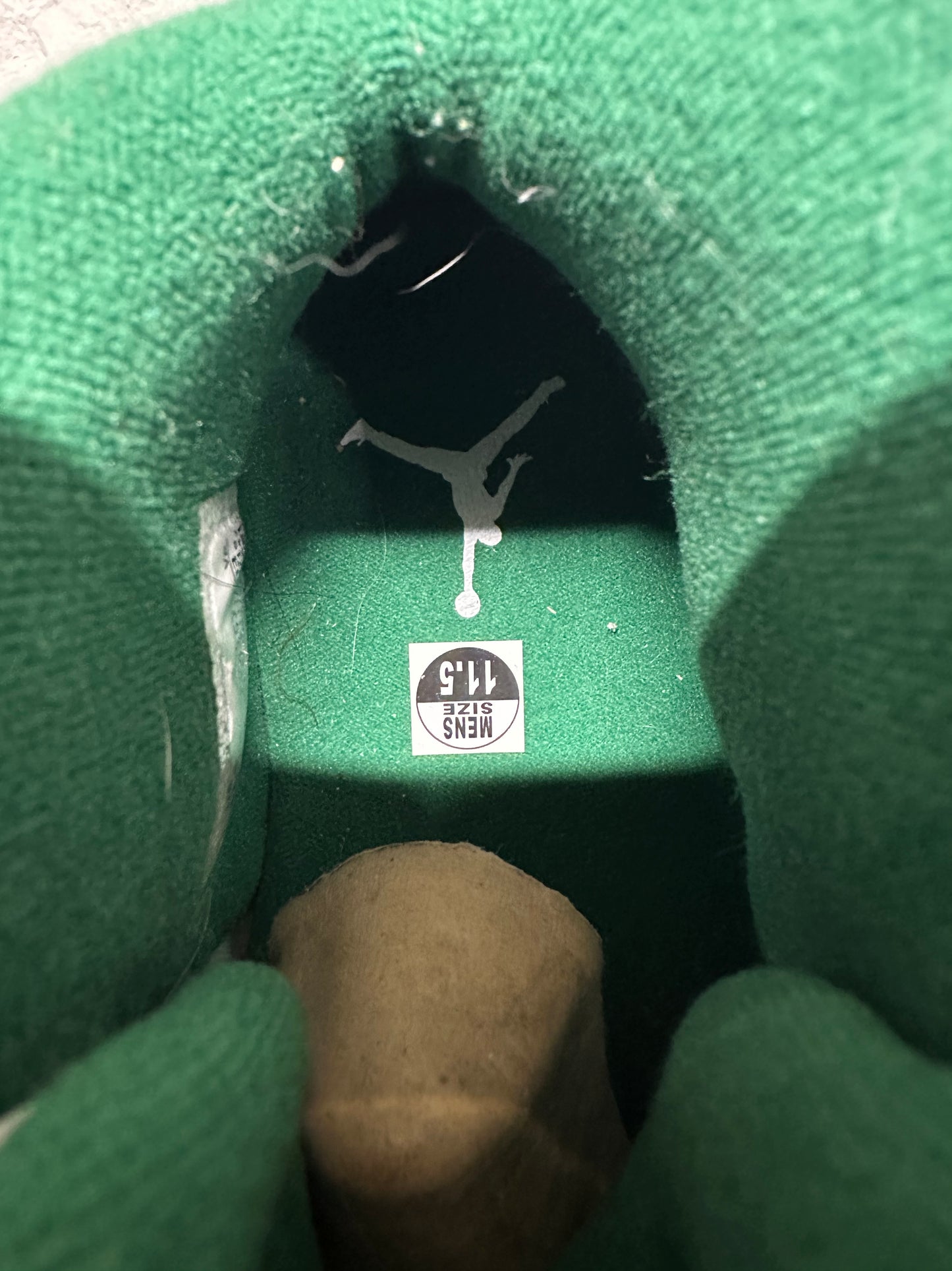 Air Jordan 10 Wings Sz 11.5 DS