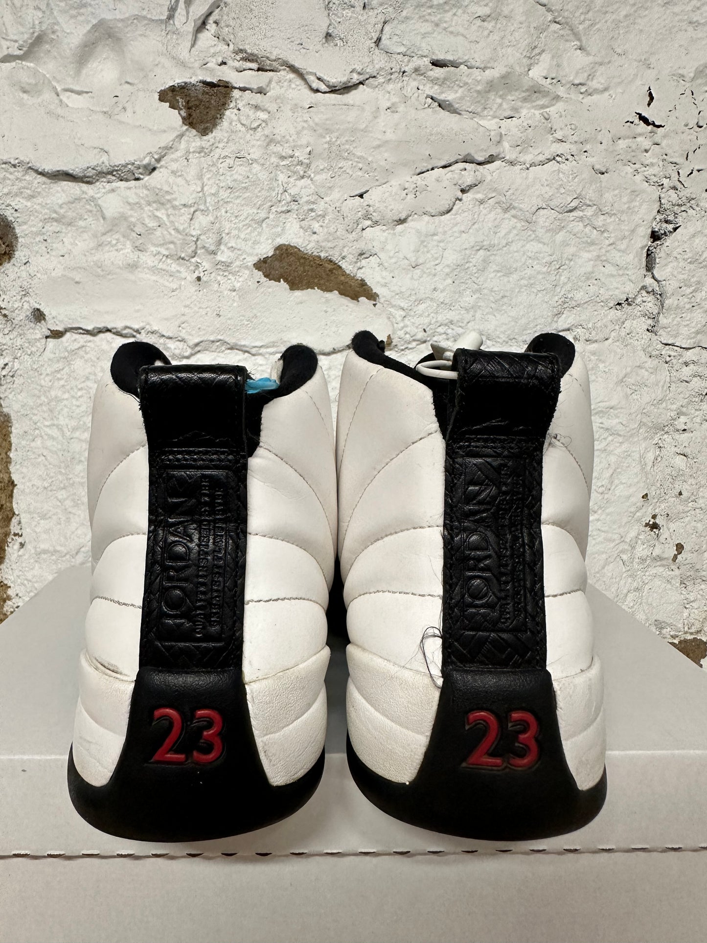 Air Jordan 12 CNY Sz 9.5