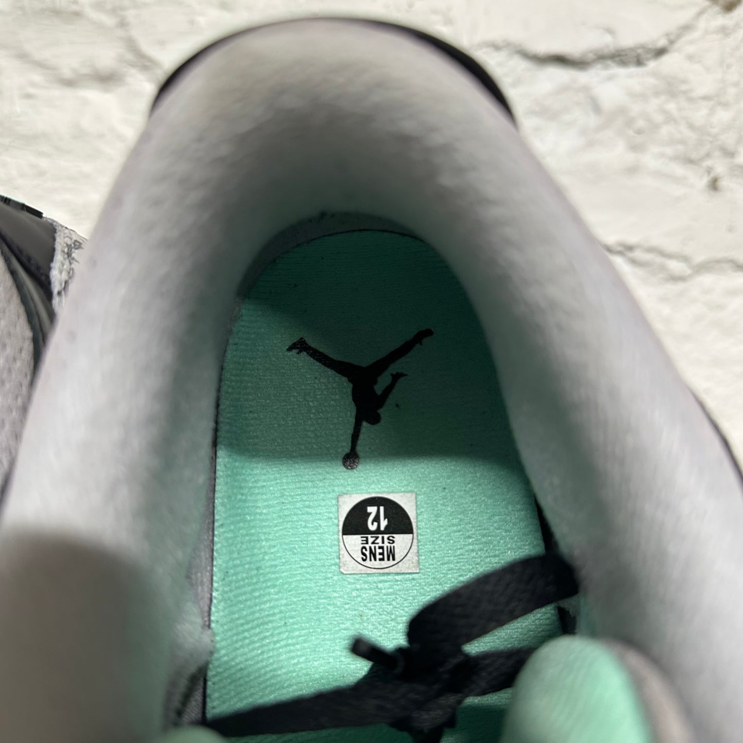 Air Jordan 3 Green Glow Sz 12