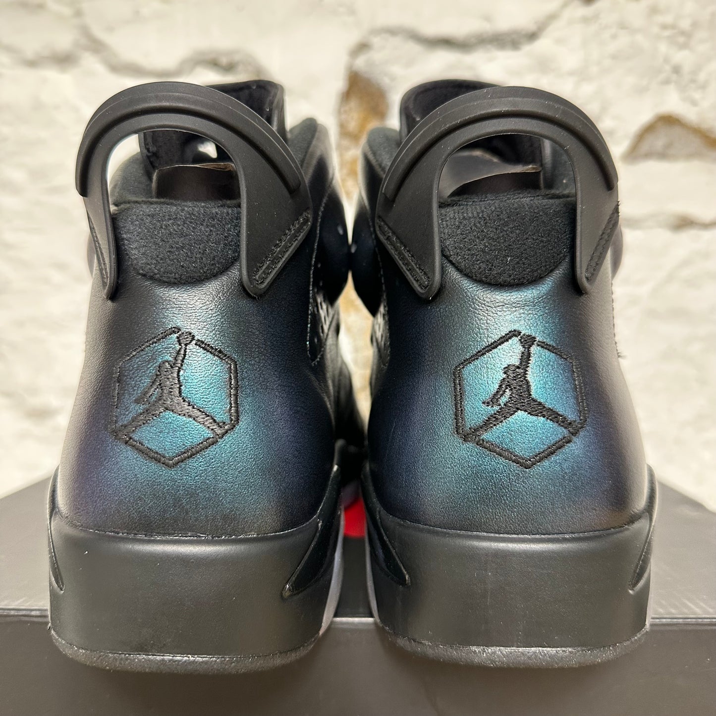 Air Jordan 6 All-Star Chameleon Sz 10.5 DS
