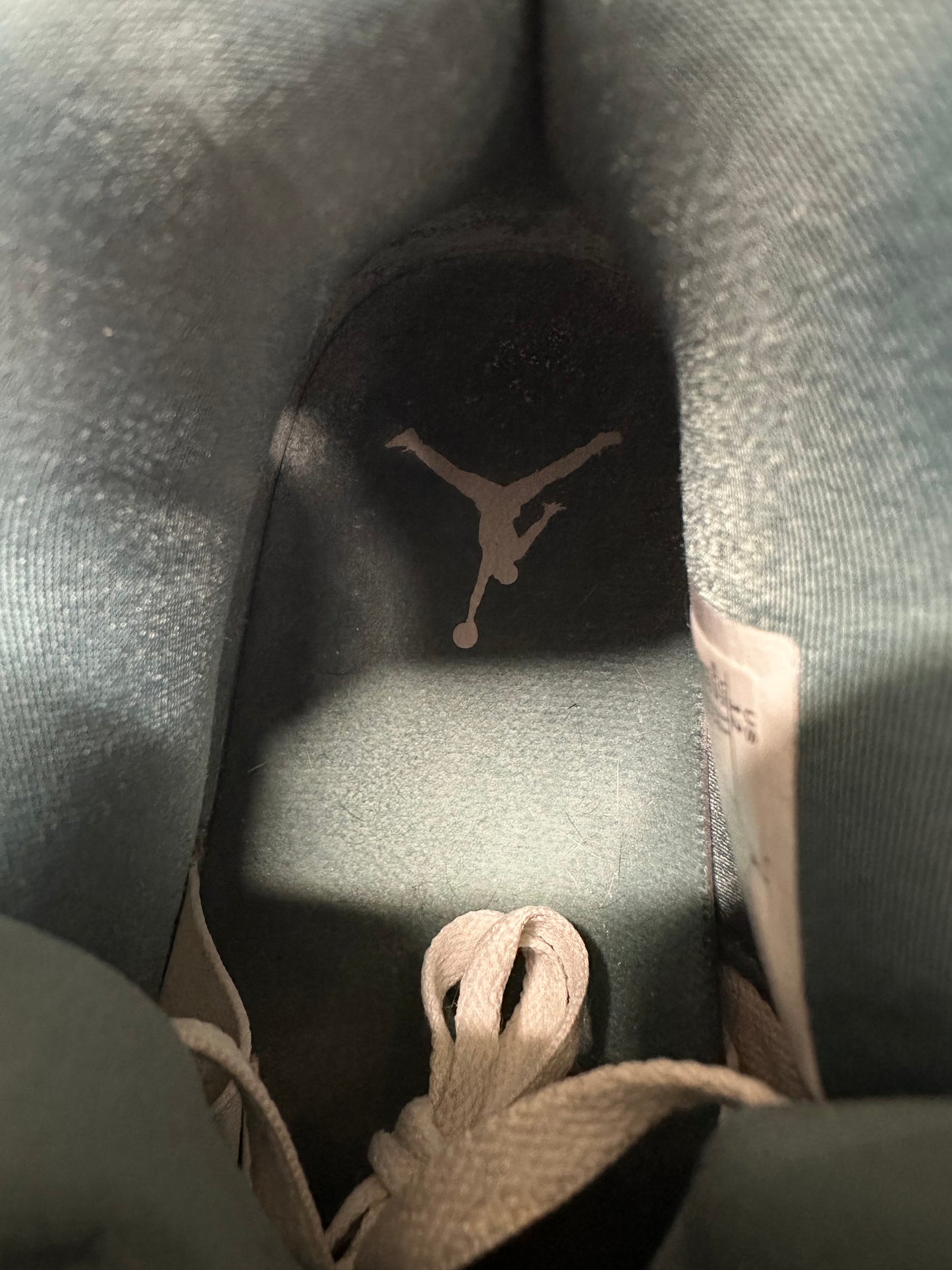 Air Jordan 4 Oxidized Green Sz 12