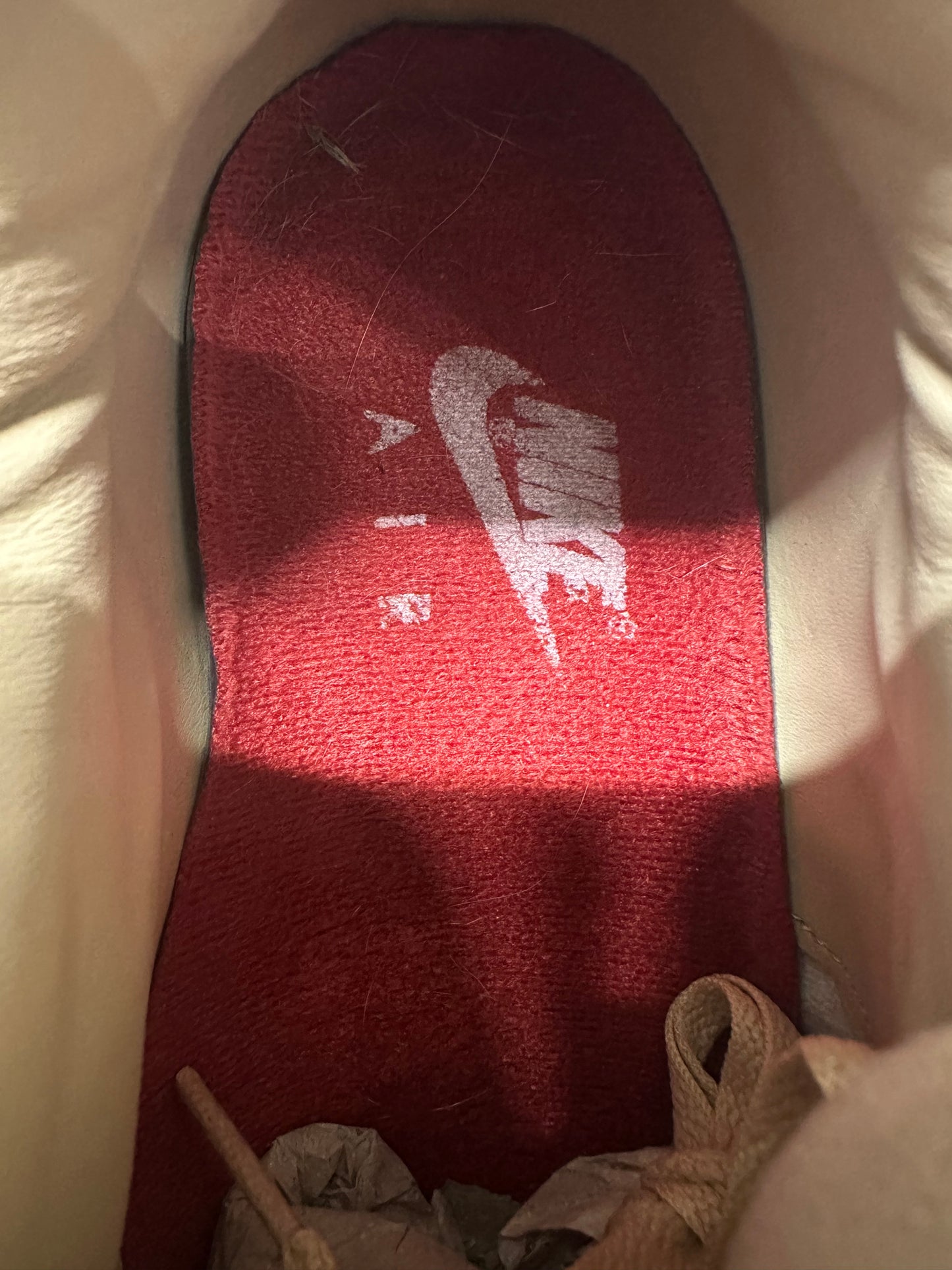 Nike Air Max 90 Bacon Sz 11.5