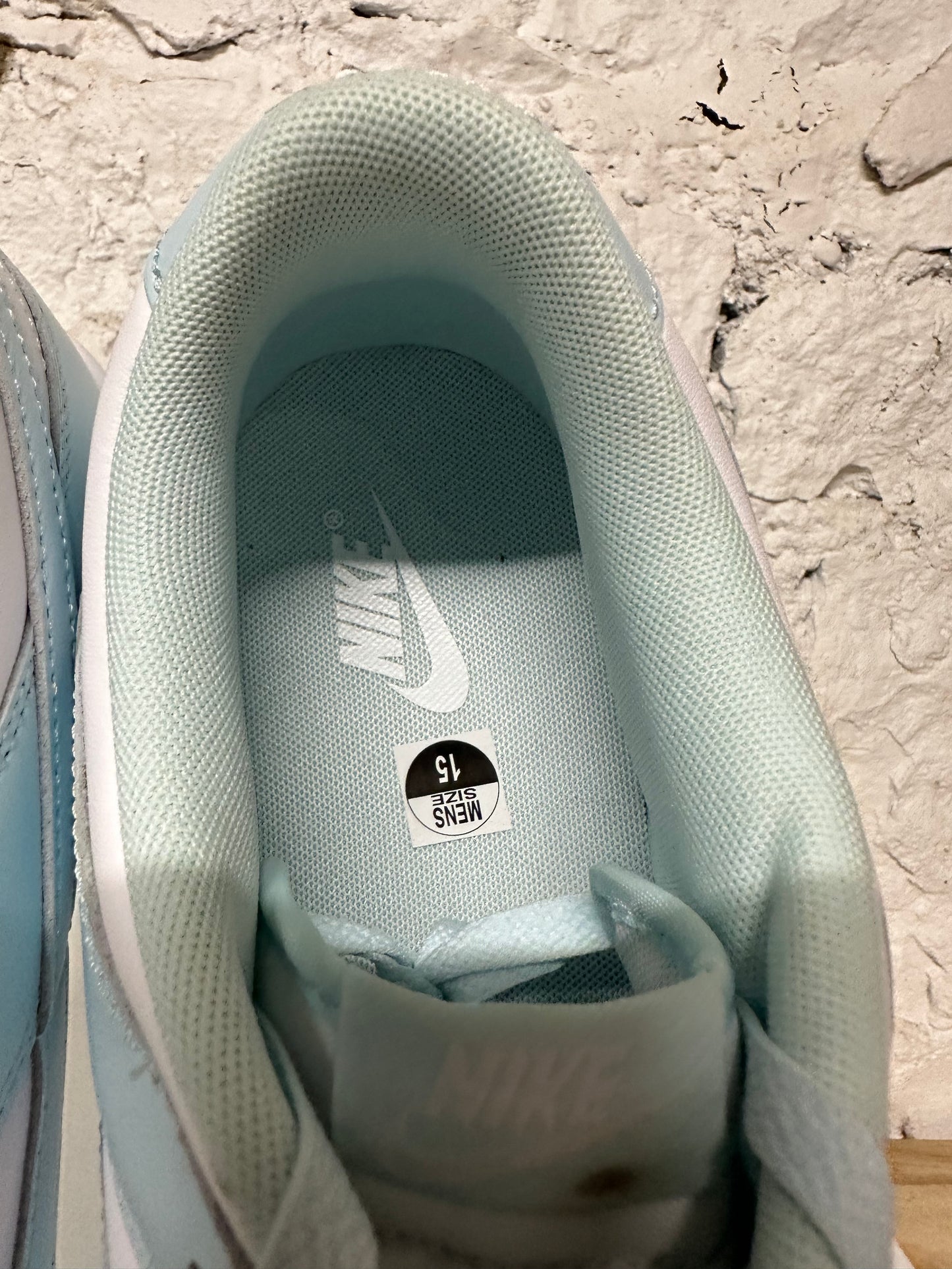 Nike Dunk Low Glacier Blue Sz 15