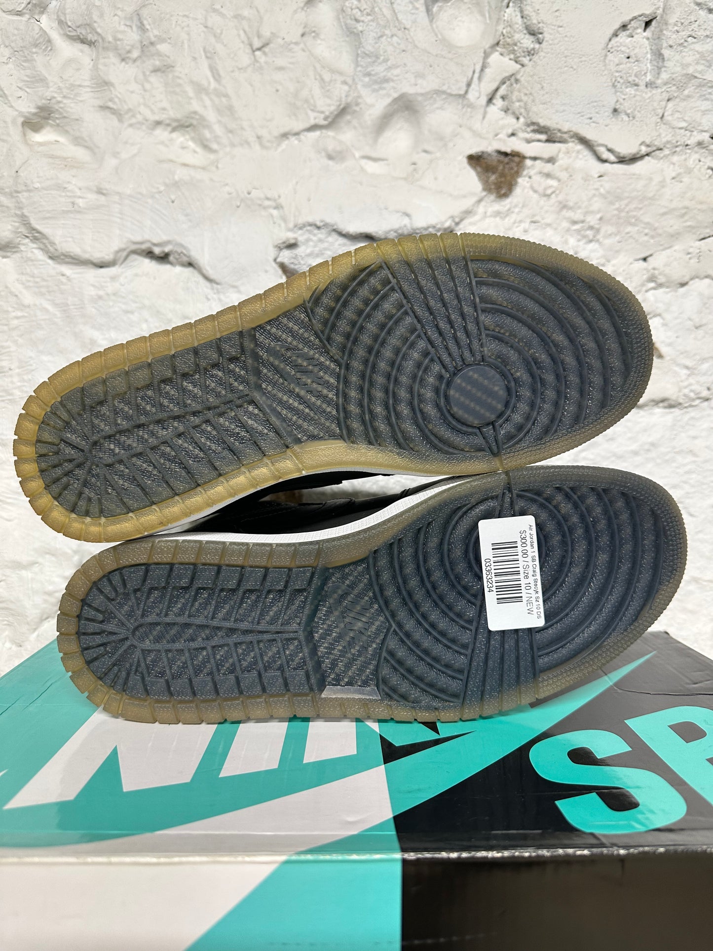 Air Jordan 1 SB Craig Stecyk Black Silver Sz 10 DS