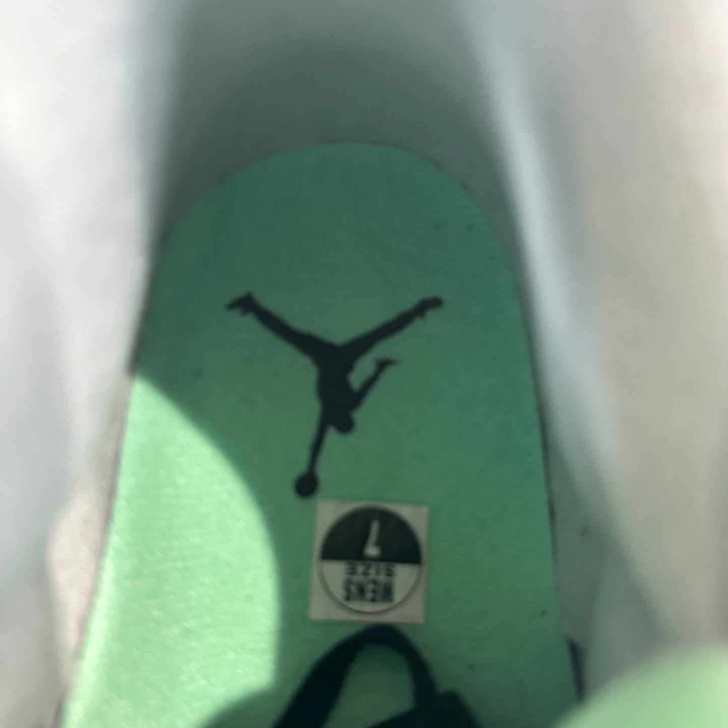 Air Jordan 3 Green Glow Sz 7