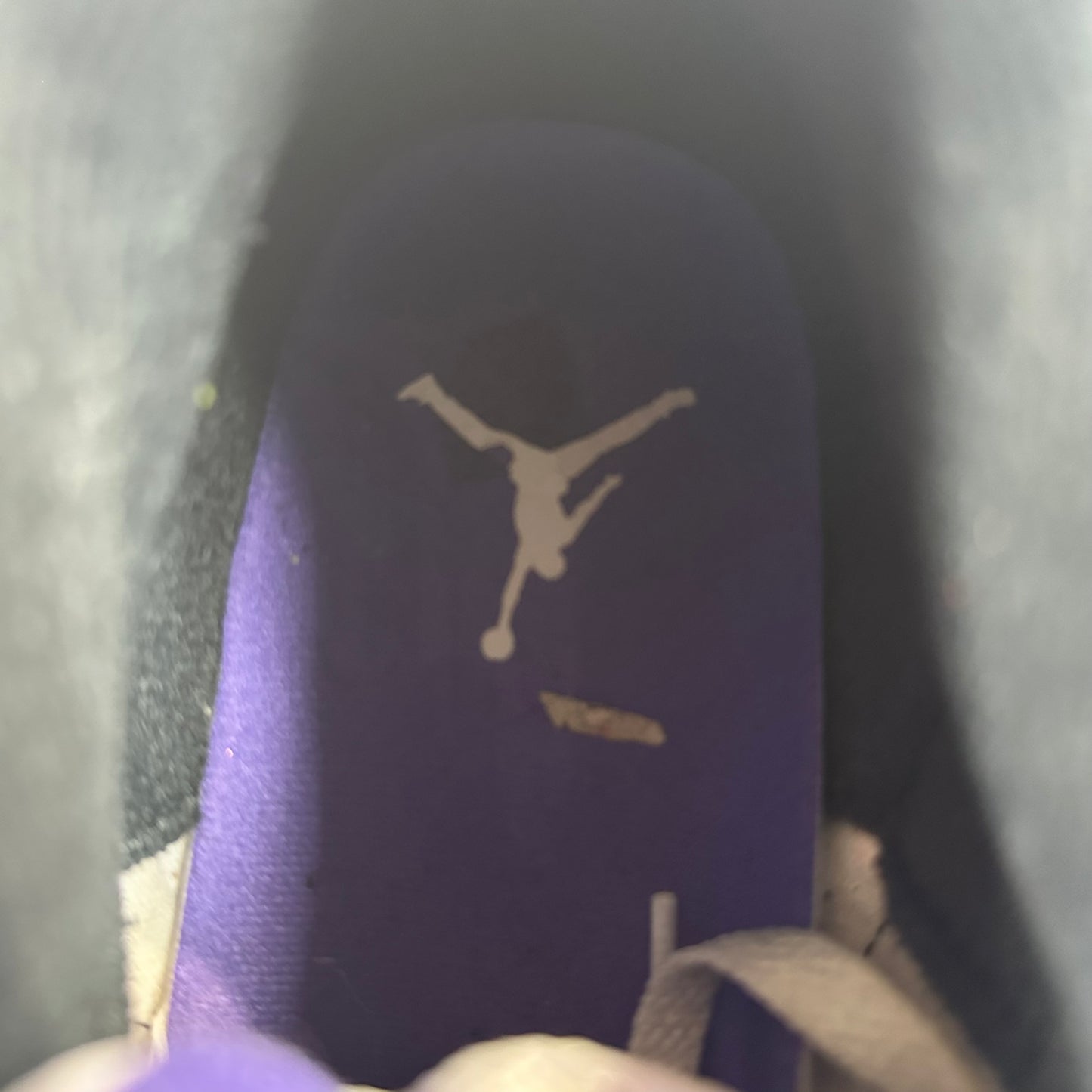 Air Jordan 3 Dark Iris Sz 10
