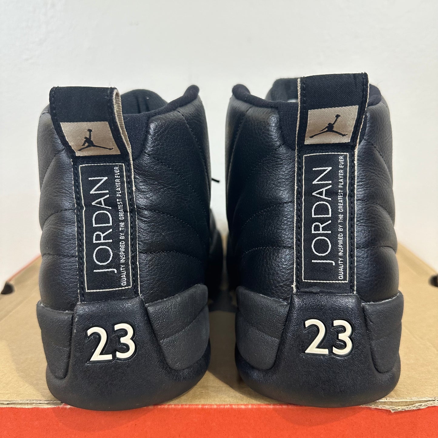 Air Jordan 12 The Master Sz 13