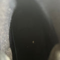 Air Jordan 12 The Master Sz 13